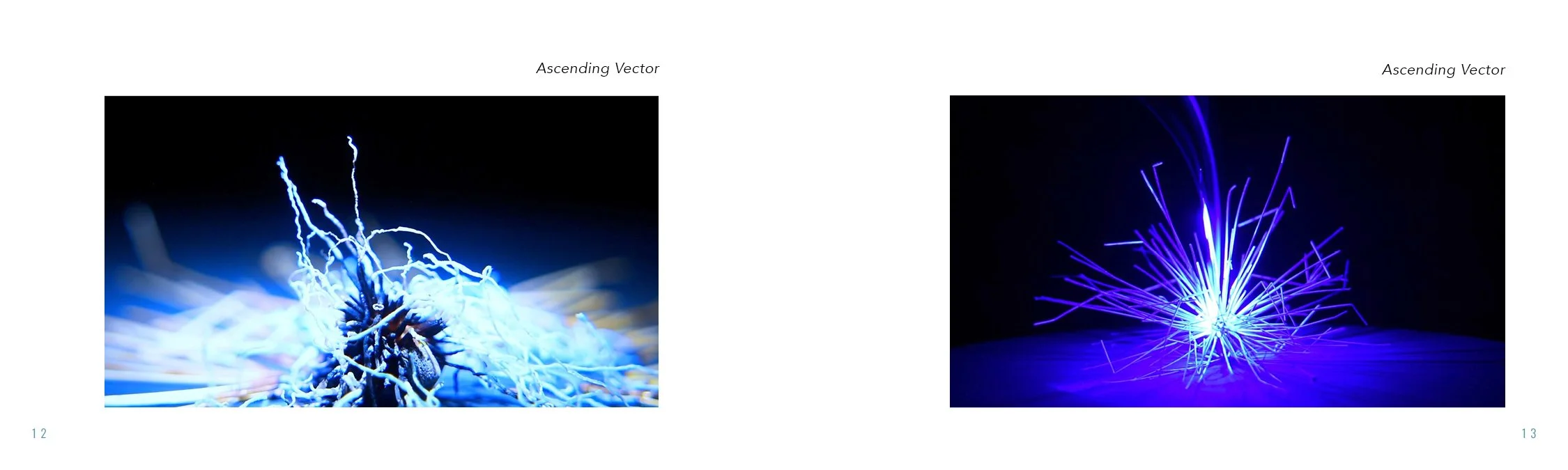 Final.Blue.Hour.Catalog.Packaged7.jpg