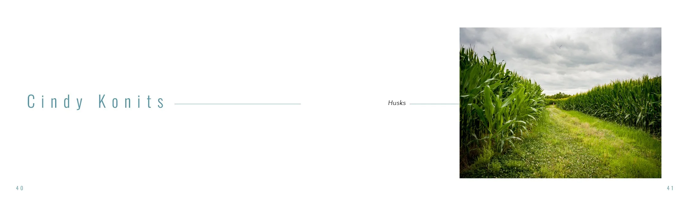 Draft.4.atmospheric.perspective21.jpg