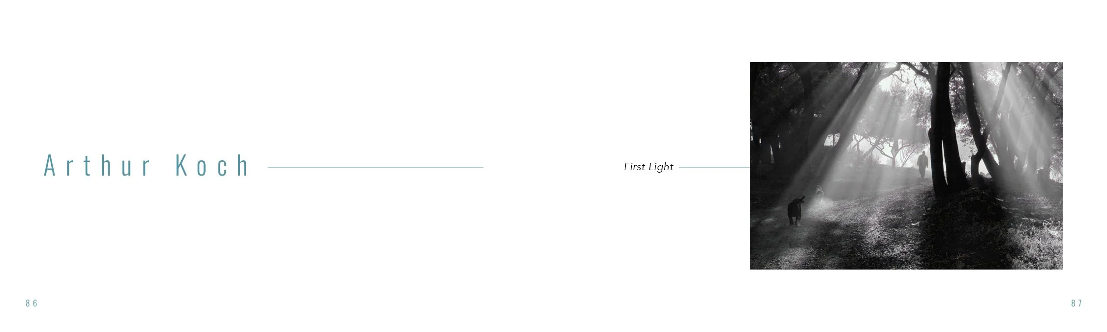 Draft.4.atmospheric.perspective44.jpg