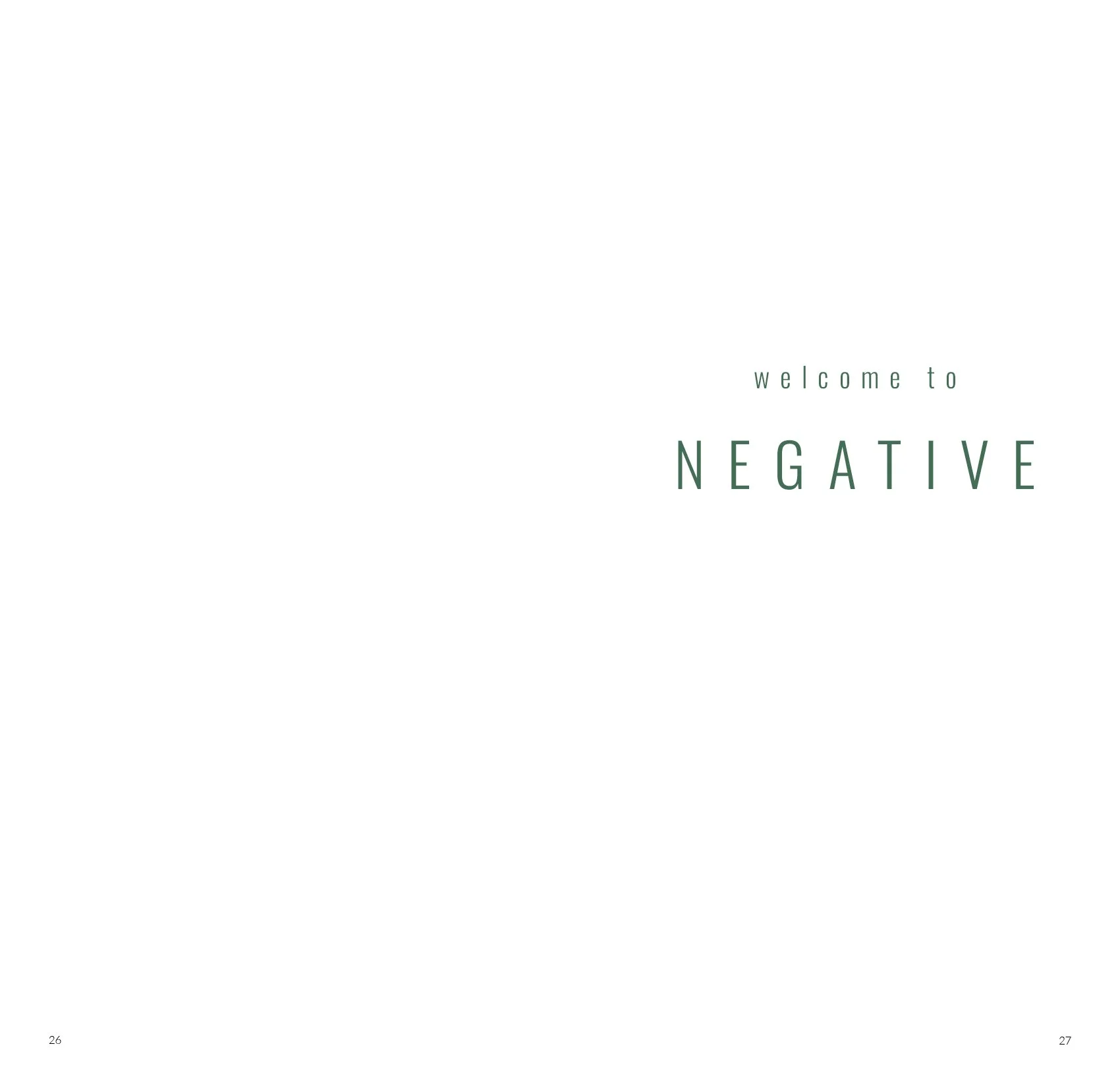 Negative.Catalog14.jpg
