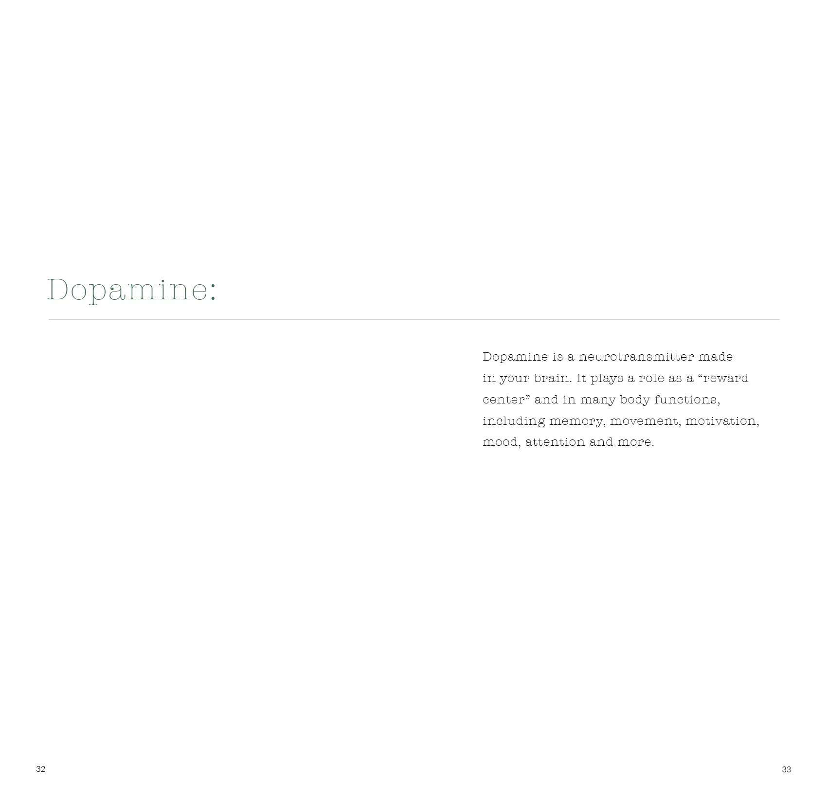Negative.Catalog17.jpg