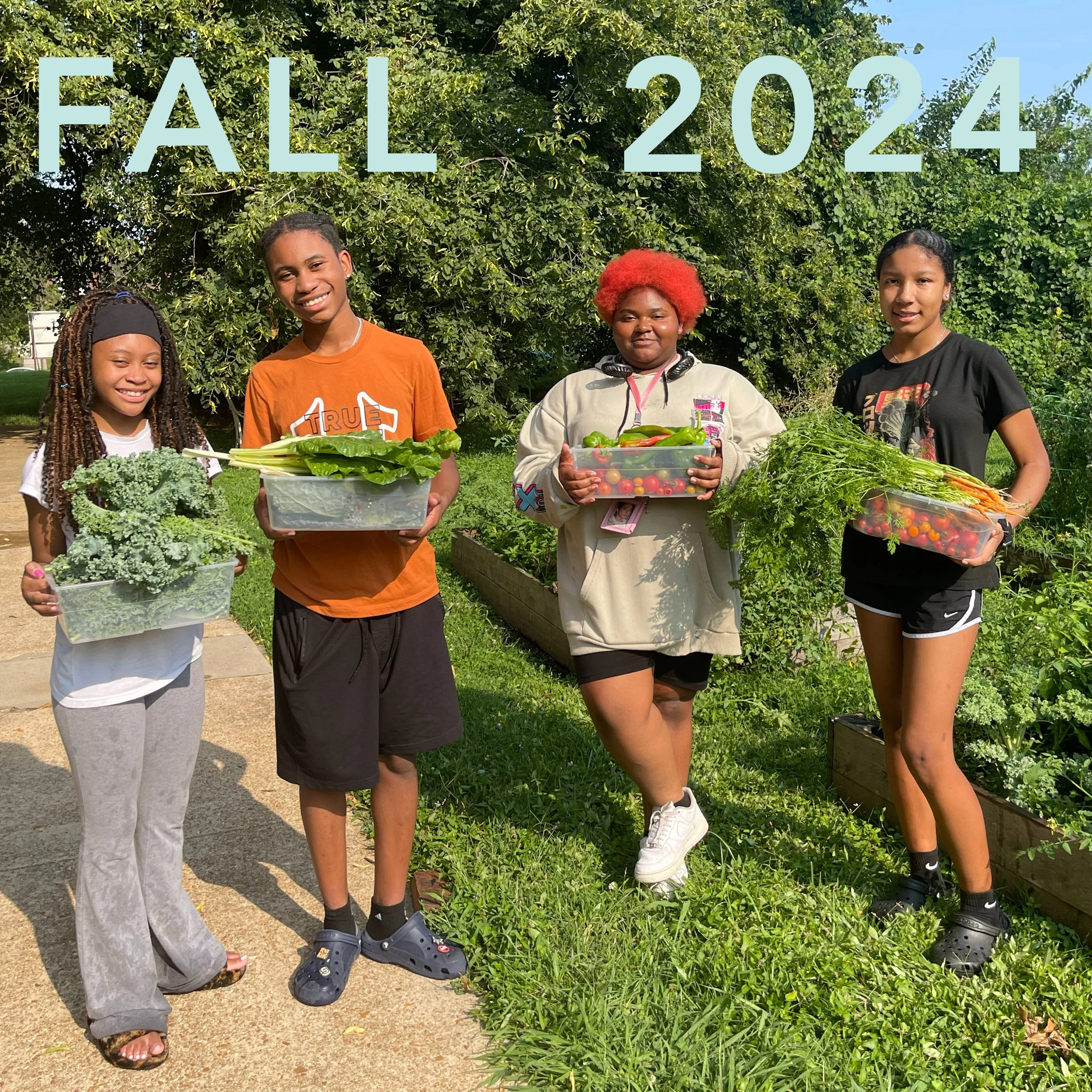 Fall 2024 Newsletter