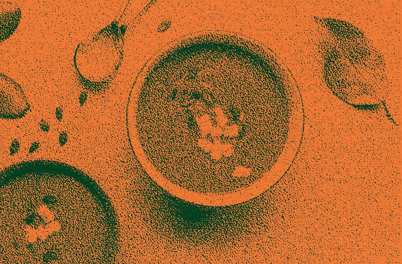 empty bowls image-3.jpg