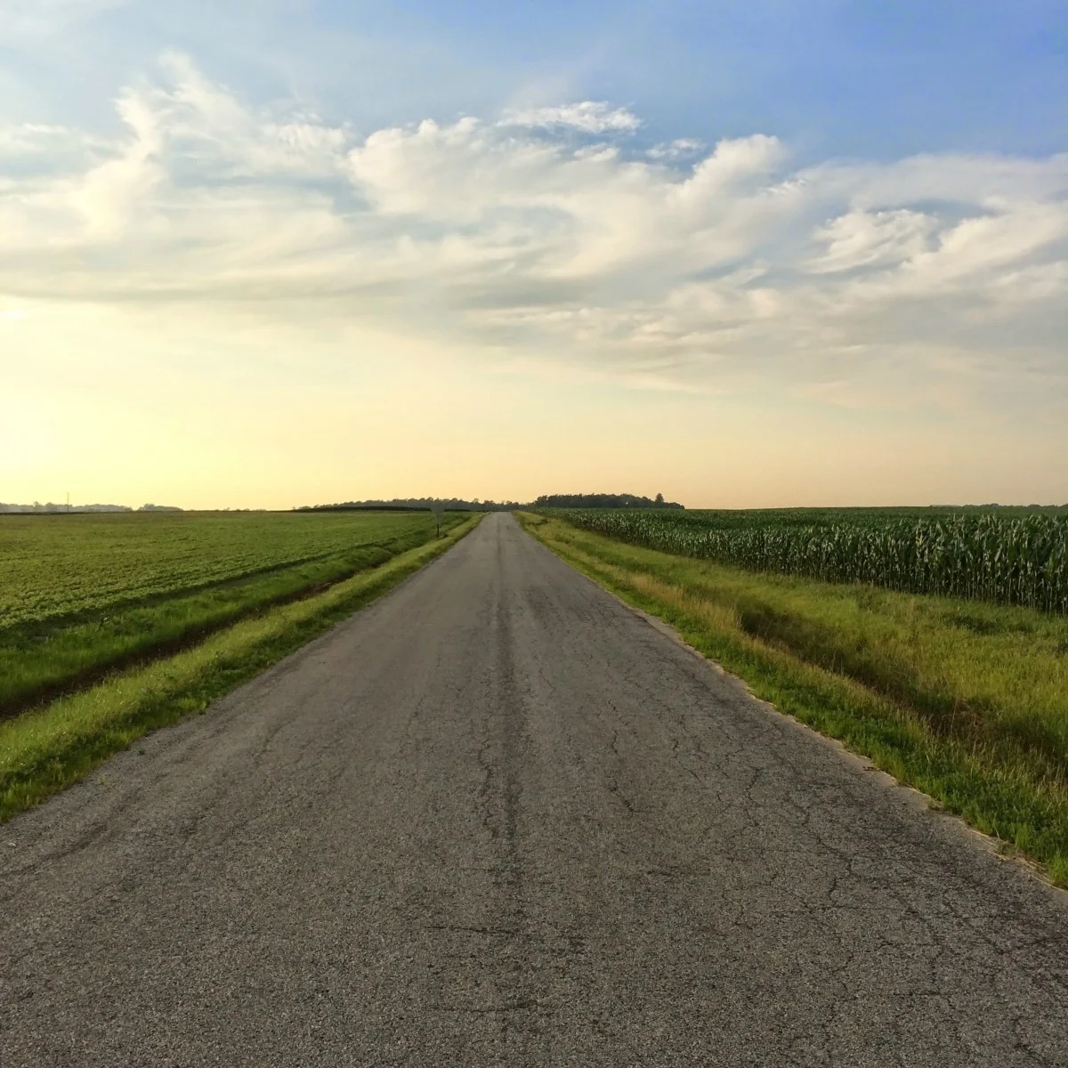 Career Path Lessons from the Prophet Muhammad (saw)