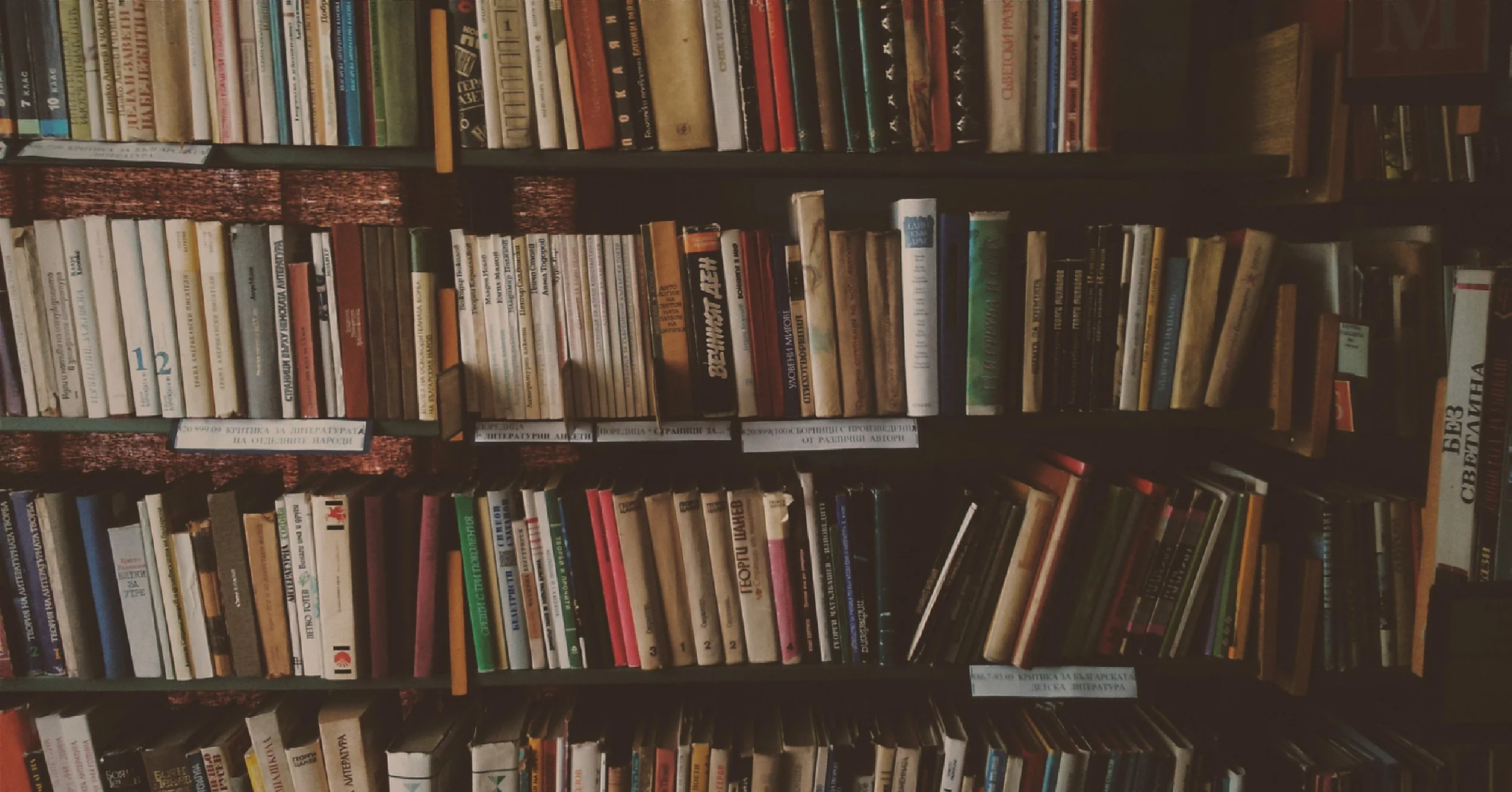 The Top 5 Books I Wish I Could Gift Everyone, One of Them Might Even Shock and Amaze You