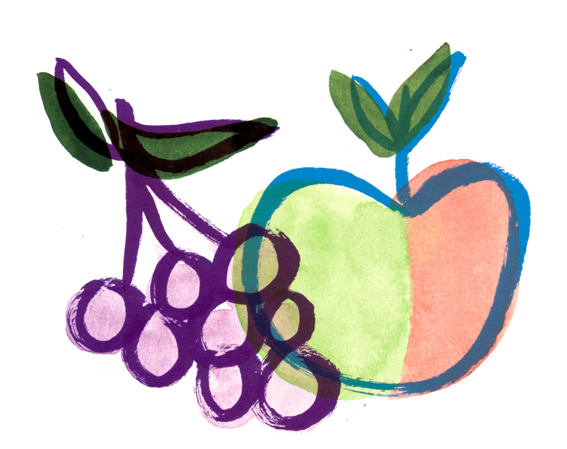 cooking-with-bear-fruit-lisacinar-opt.jpg