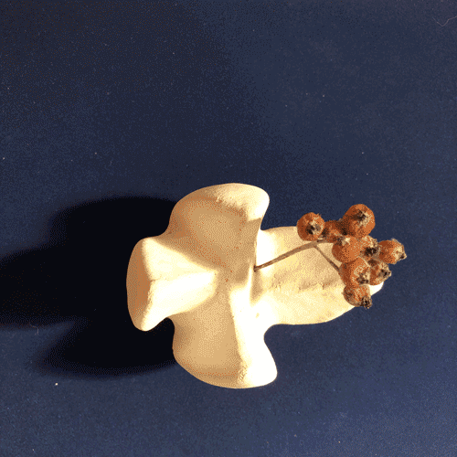 Clay-Elder-Dance1-new-opt.gif