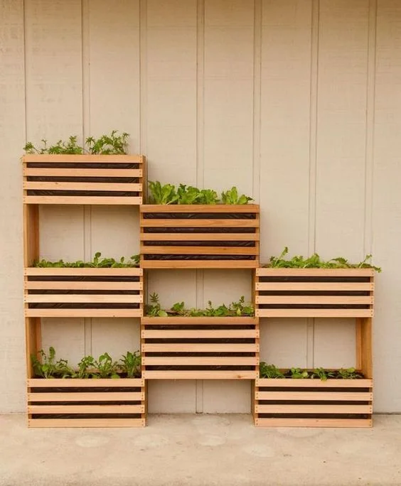 af16e18c7d0837f8eda3f202745c693c--vertical-vegetable-gardens-vertical-farming.jpg