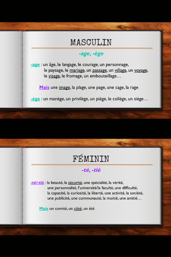 Genders PPT Slides Masc_Fem.png