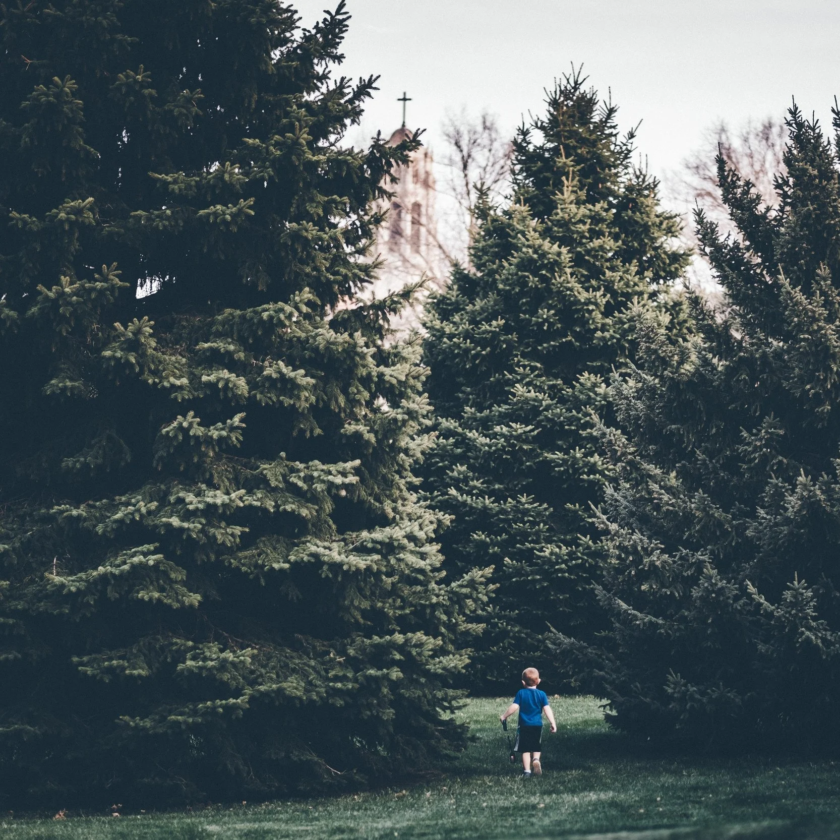andrew-seaman-650349-unsplash.jpg