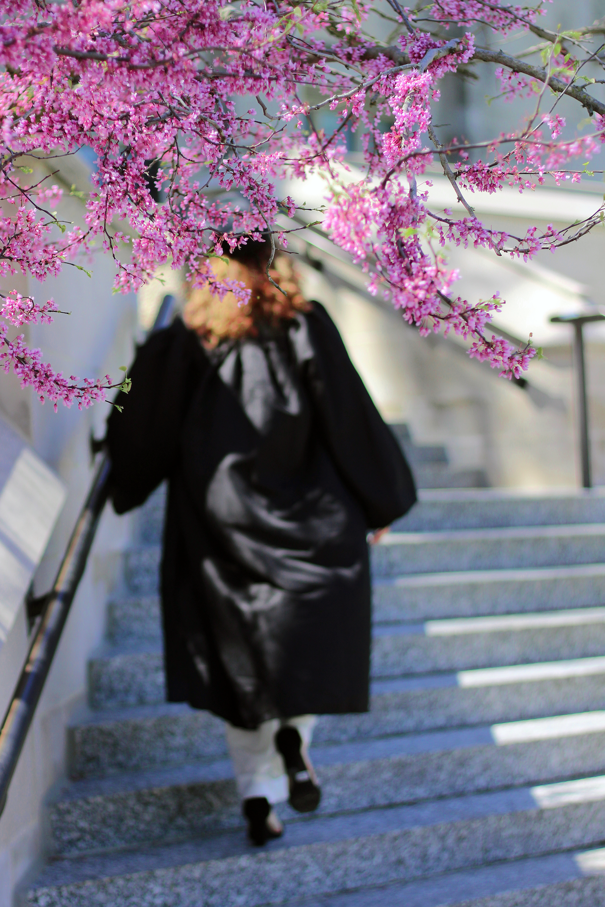 Beginner Photography: First Grad Session