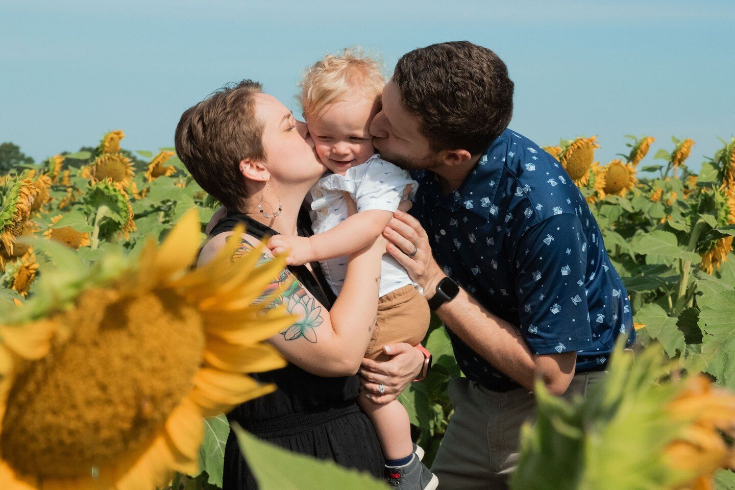 It's almost holiday card season! But here's some sweet sunflower family photo memories. 🌻

Book a photo session at https://www.kaylajanellecook.com/fandbphotog 📸
.
Alt Text:
Image 1: Emily and David kiss their son, Dean, on the cheek in one of Grin