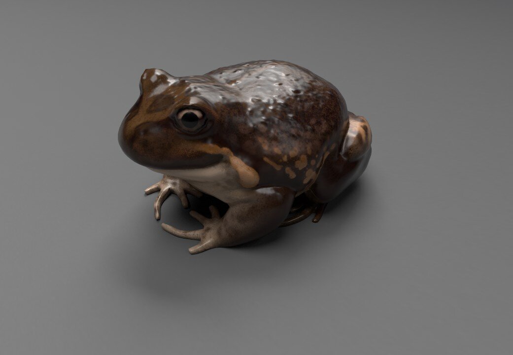 Pobblebonk - Digital Model