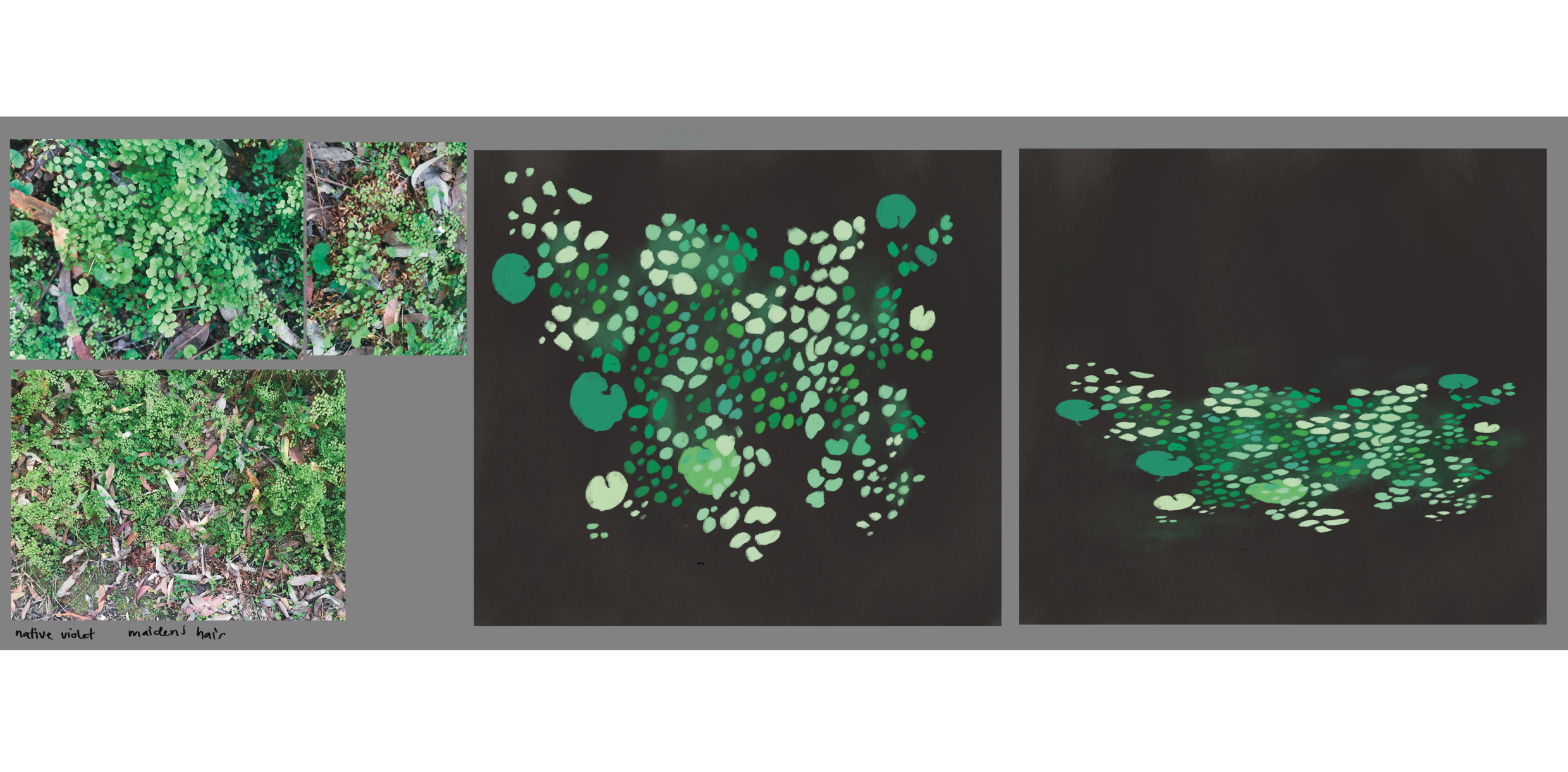 Untitled_Artwork 165.png