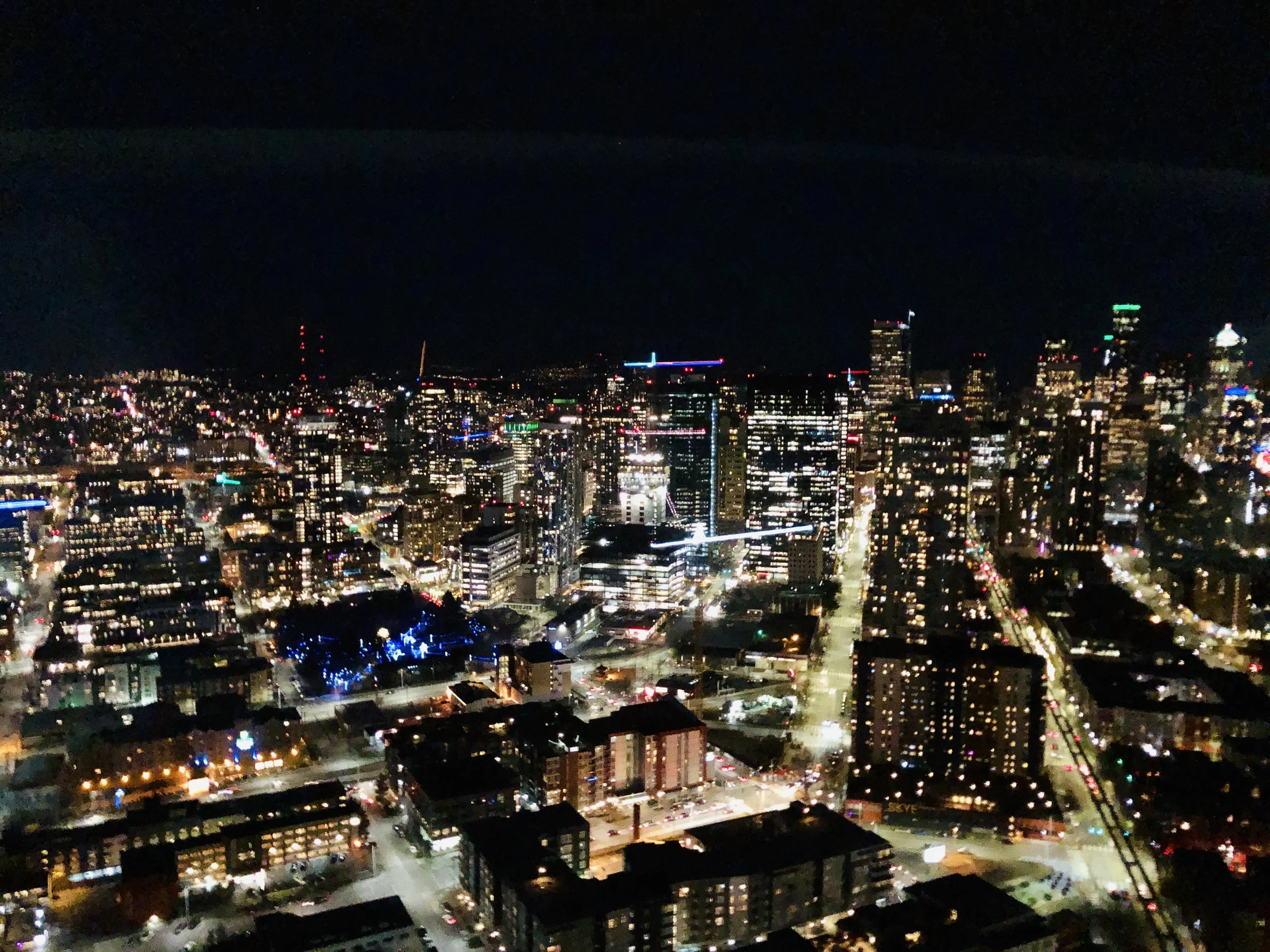 View from the Space Needle.