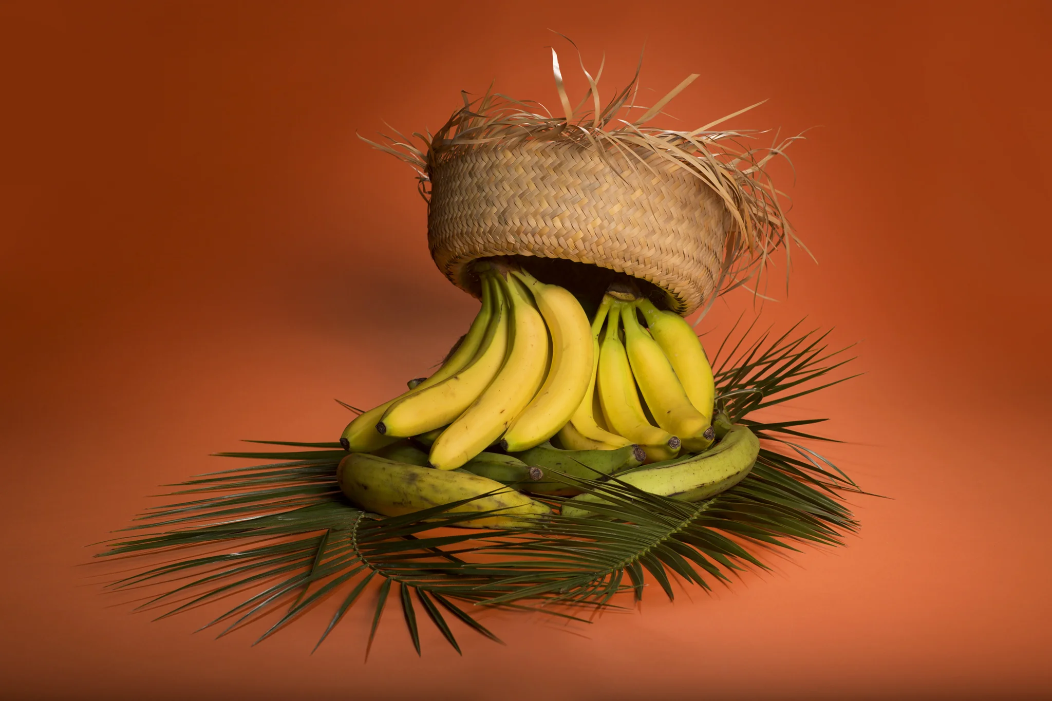 Ad Study #1 |  Pan, Tierra y Libertad  