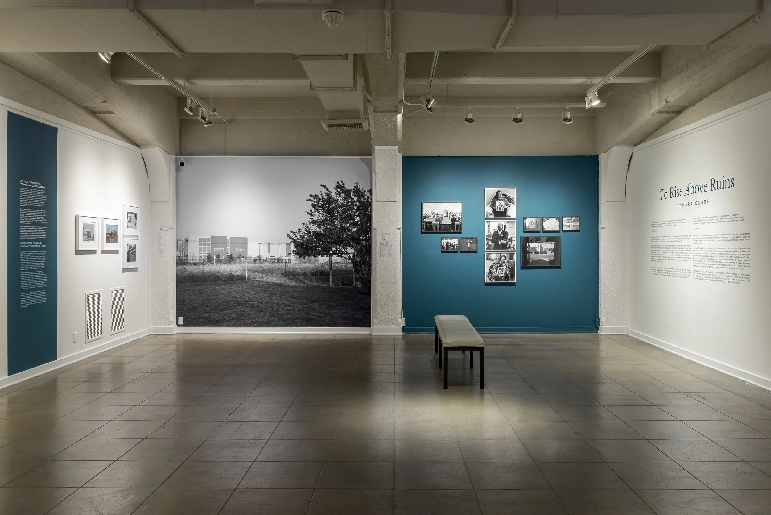  Installation,  To Rise Above Ruins  (2025)  