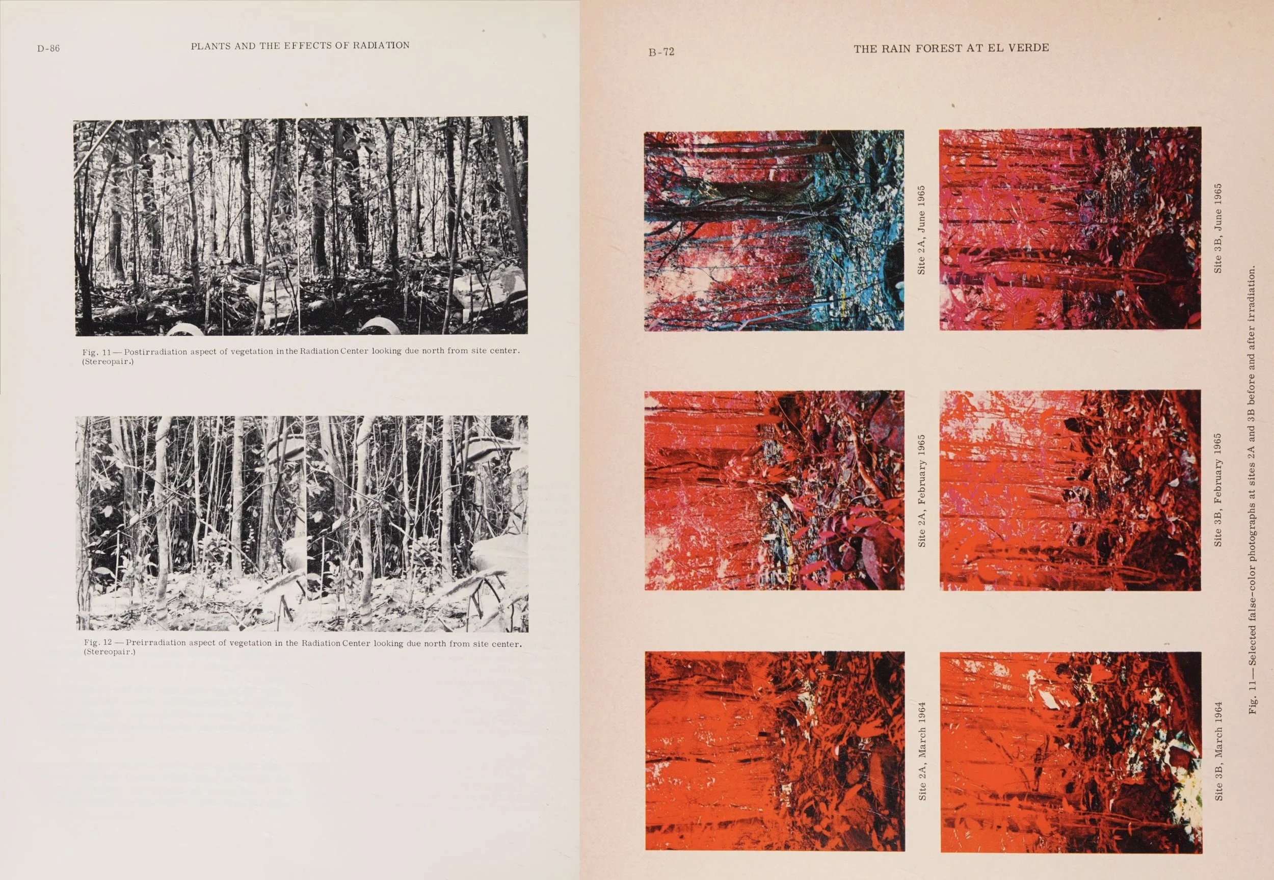   A Tropical rain forest; a study of irradiation and ecology at El Verde, Puerto Rico , U.S. Atomic Energy Commission, 1970 
