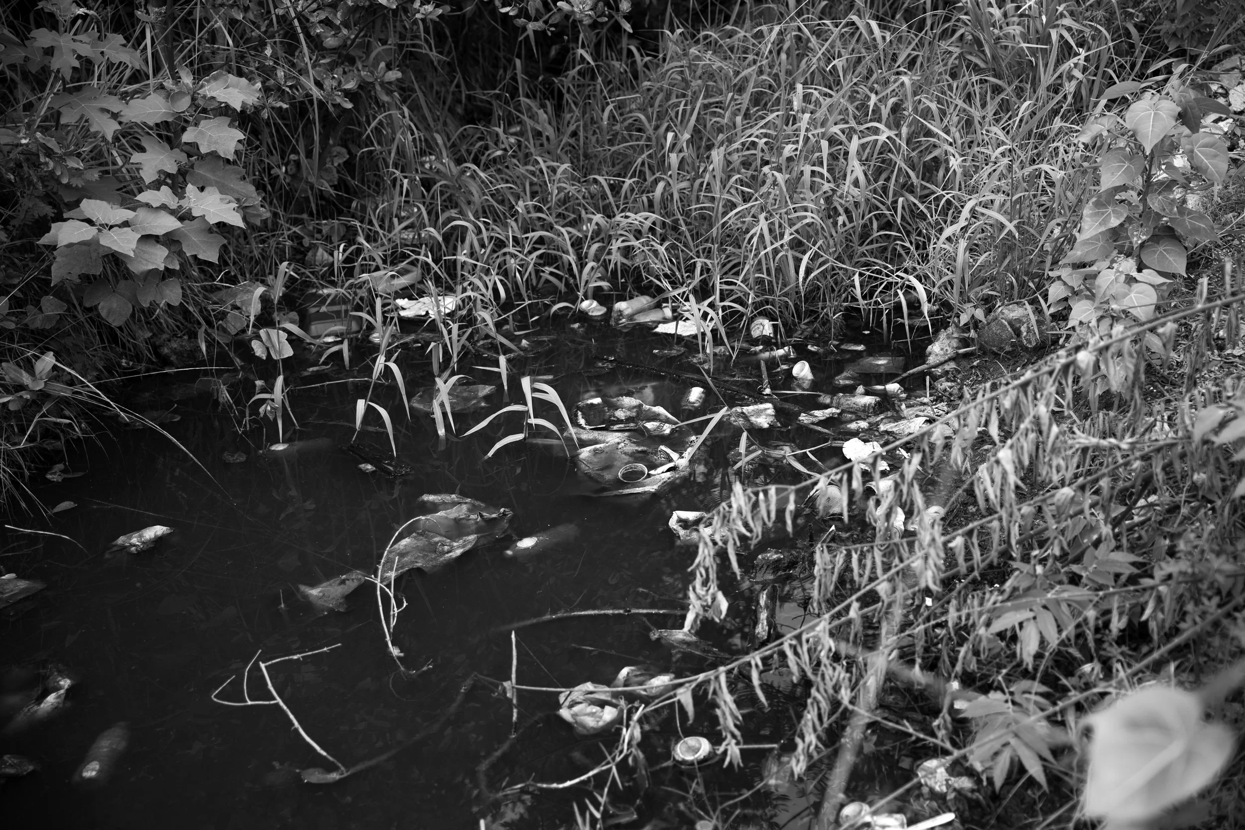  Lago Carraízo, Trujillo Alto, 2023 