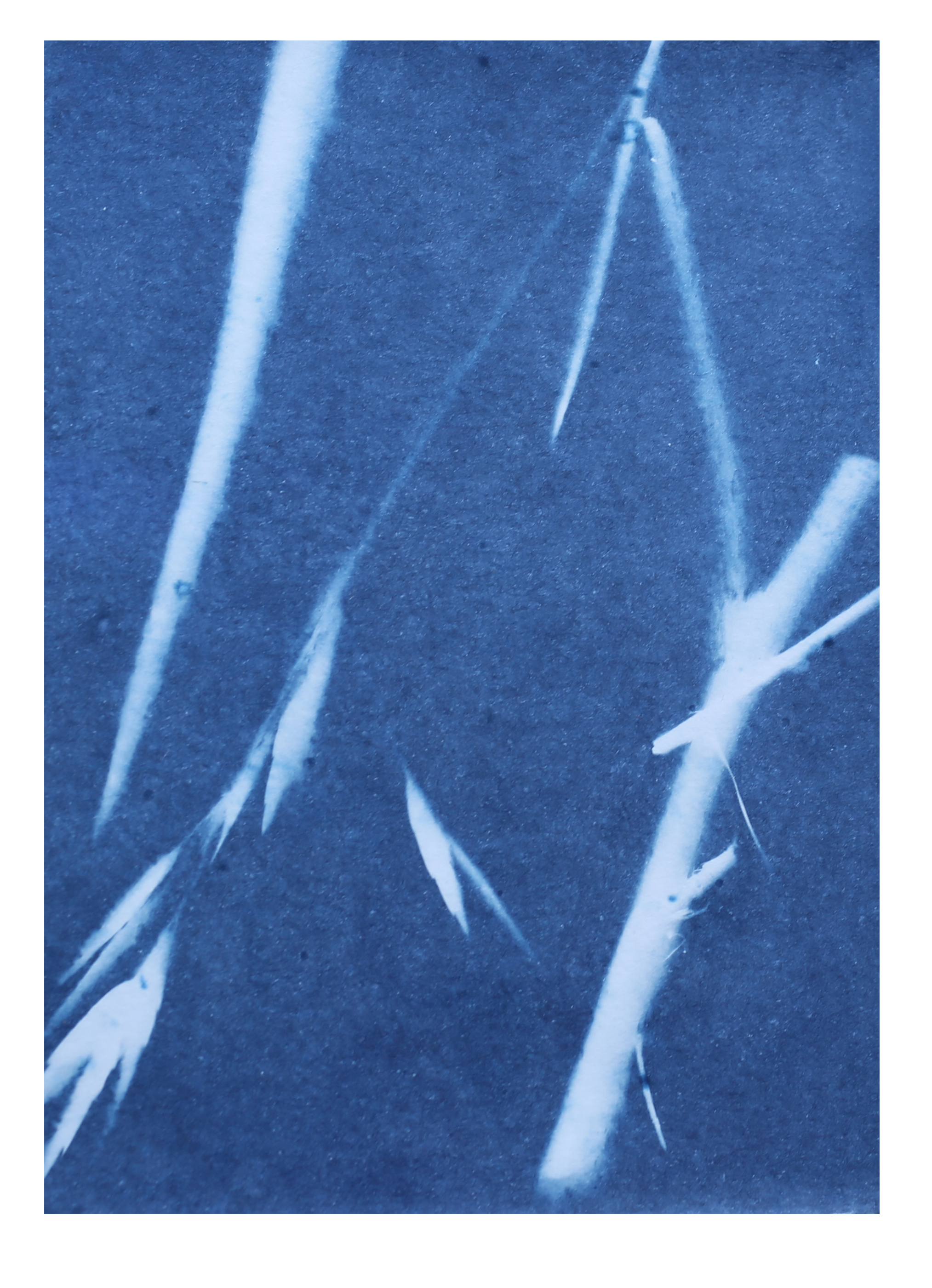  Caribbean Sea, Guayanilla, 2023 