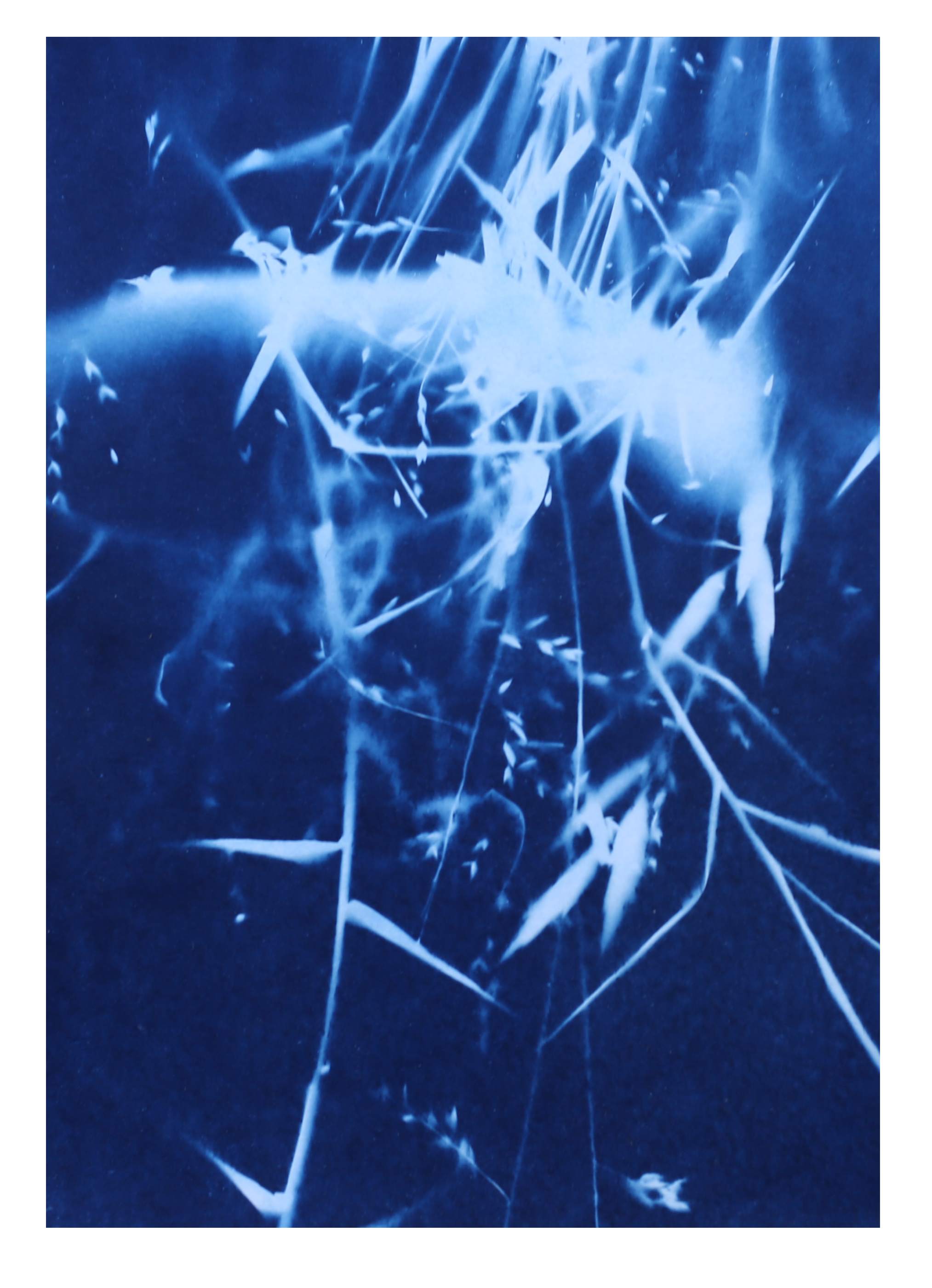  Lago Carraízo, Trujillo Alto, 2023 