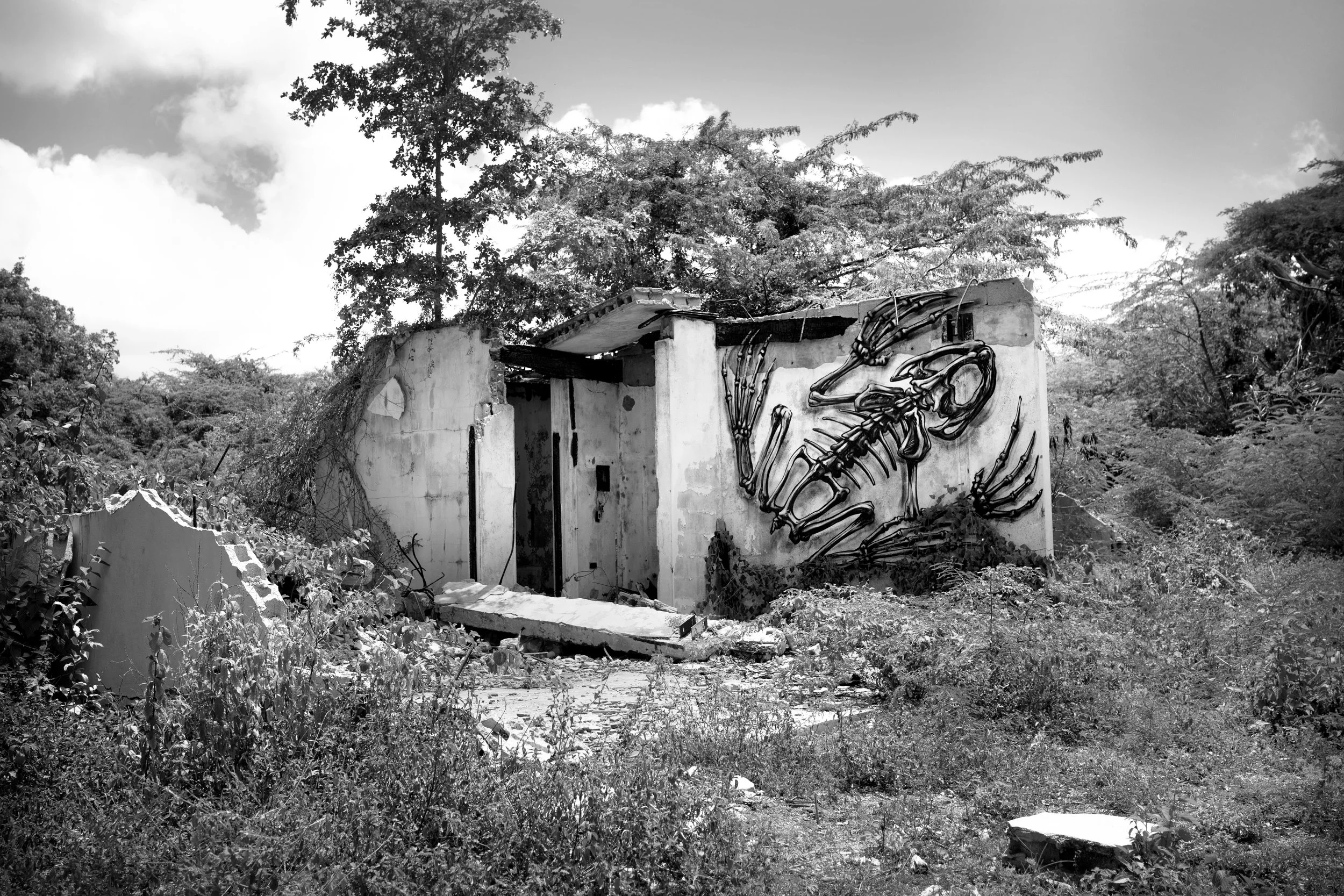  Protest graffiti on a former building in Esperanza, 2015 