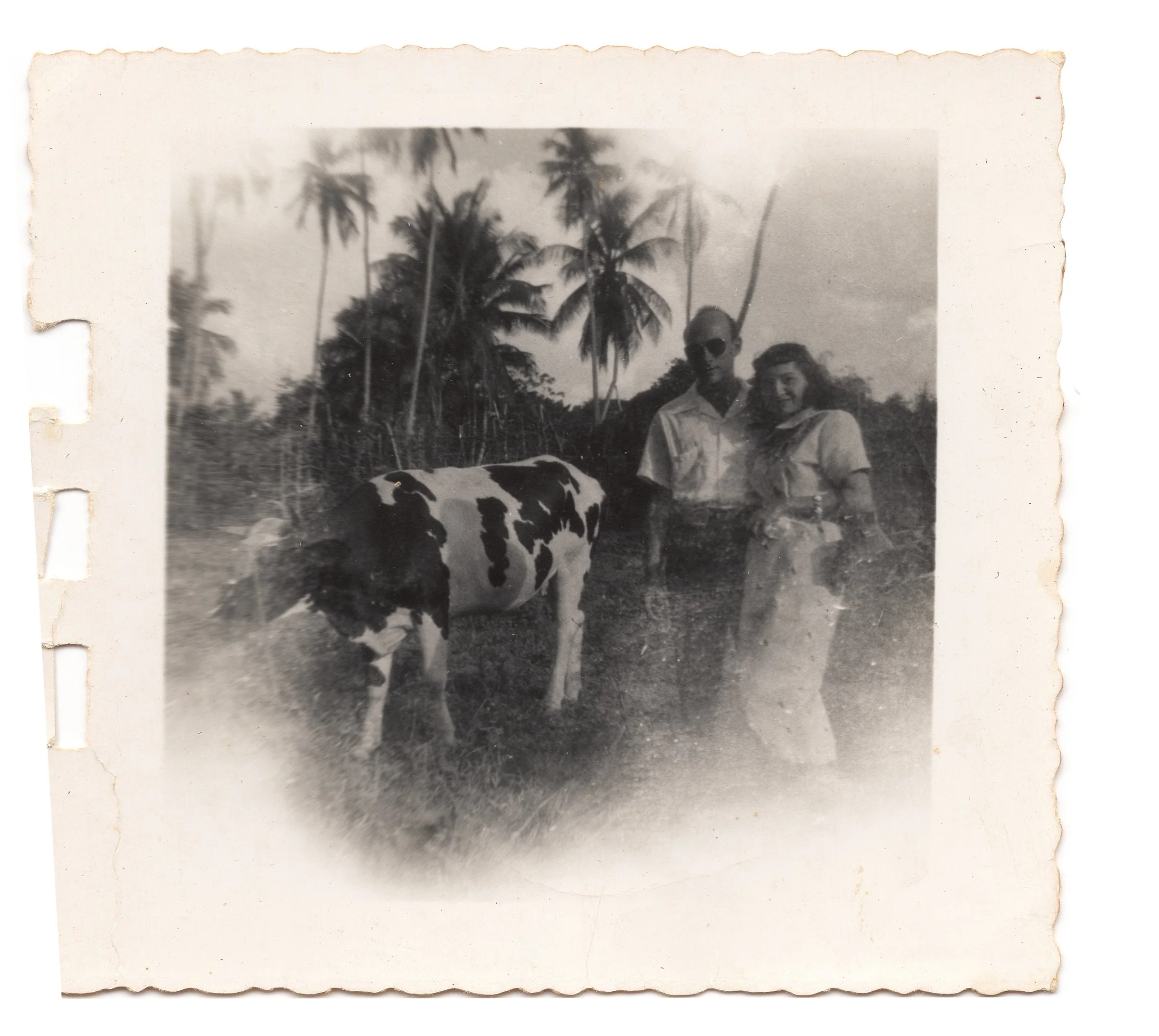  My grandparents in Hatillo, 1948 