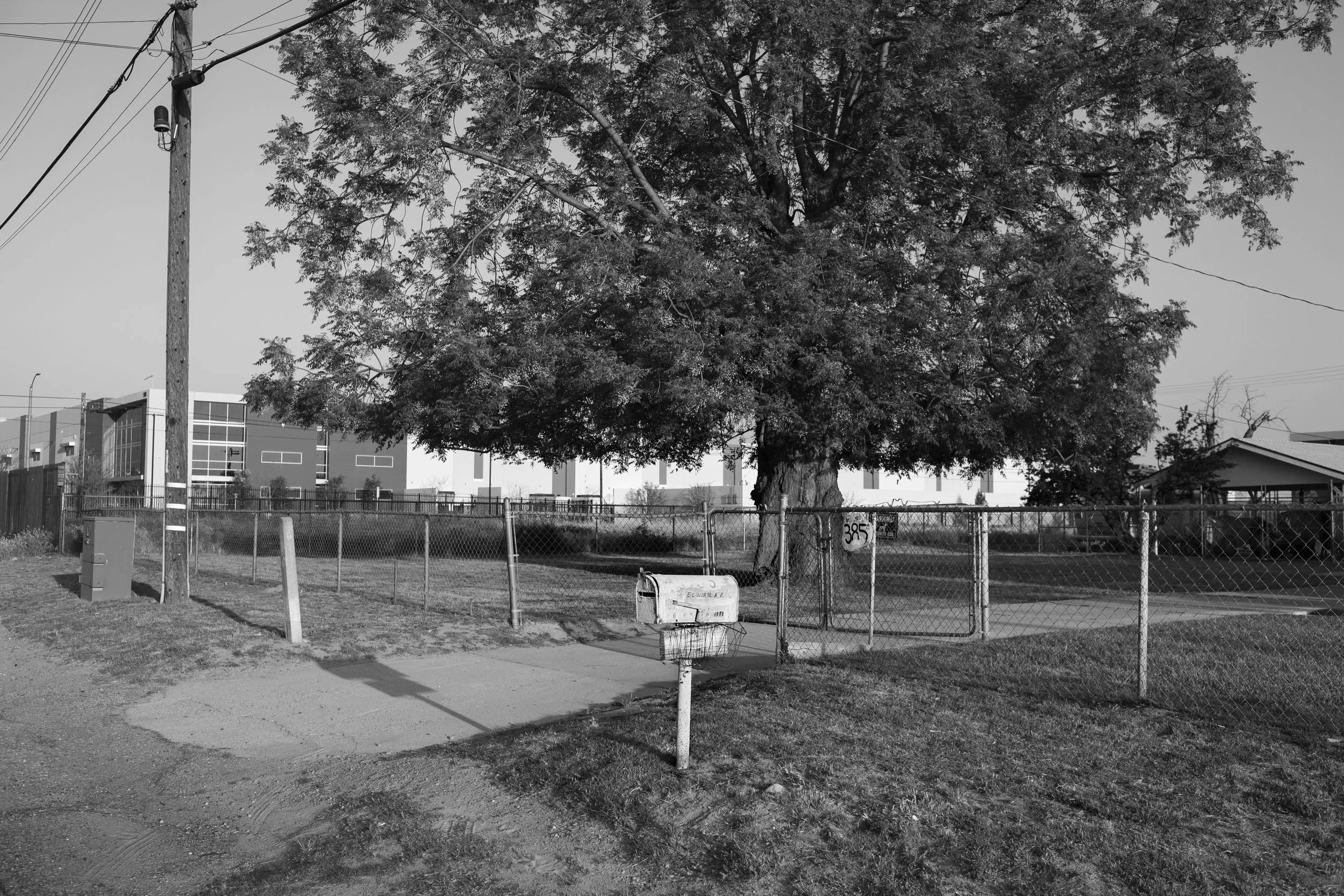  Vera's Front Yard, 2024 