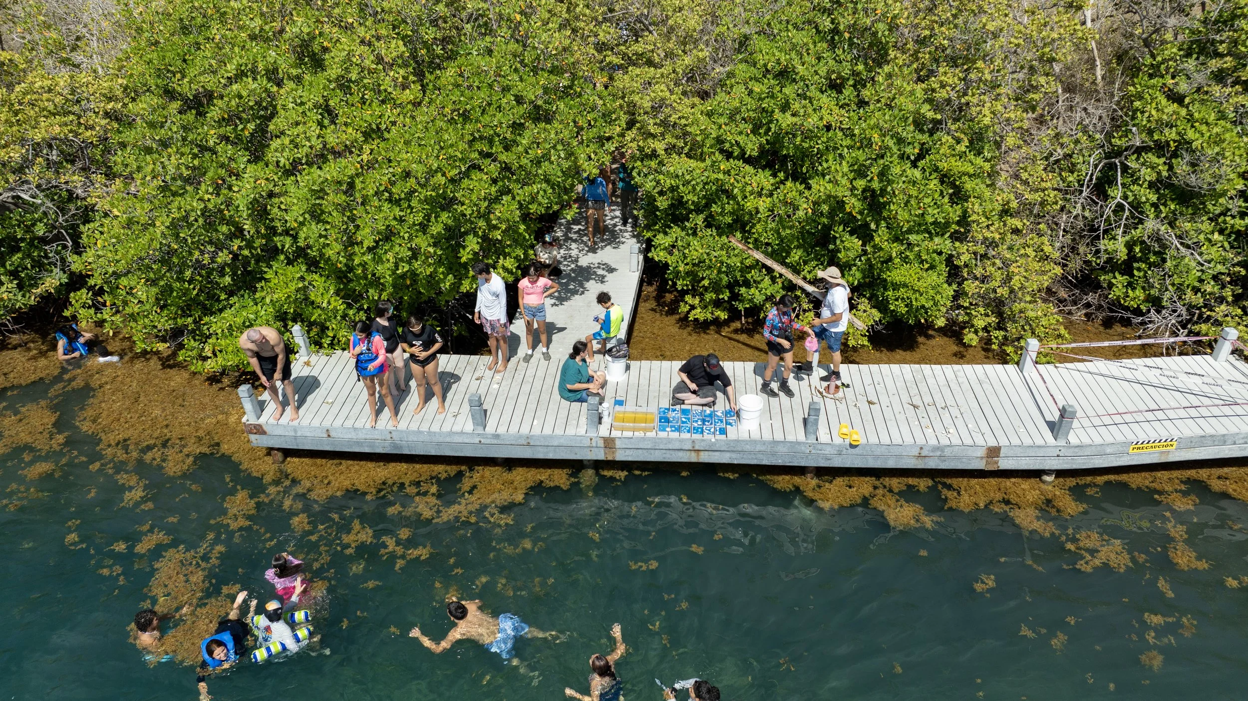  The docks at Cayo Caribe 