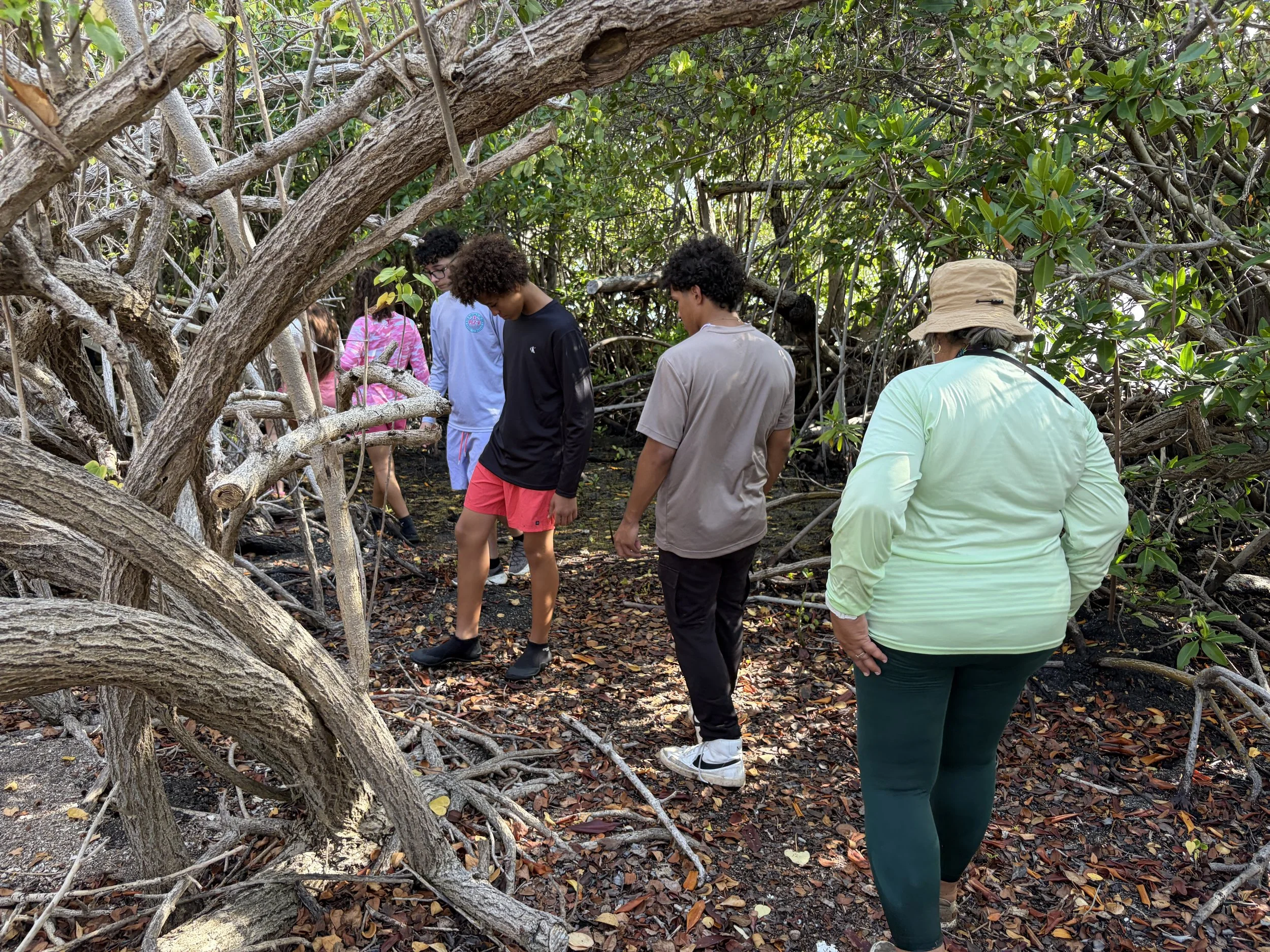  A nature walk to collect items from the mangroves 