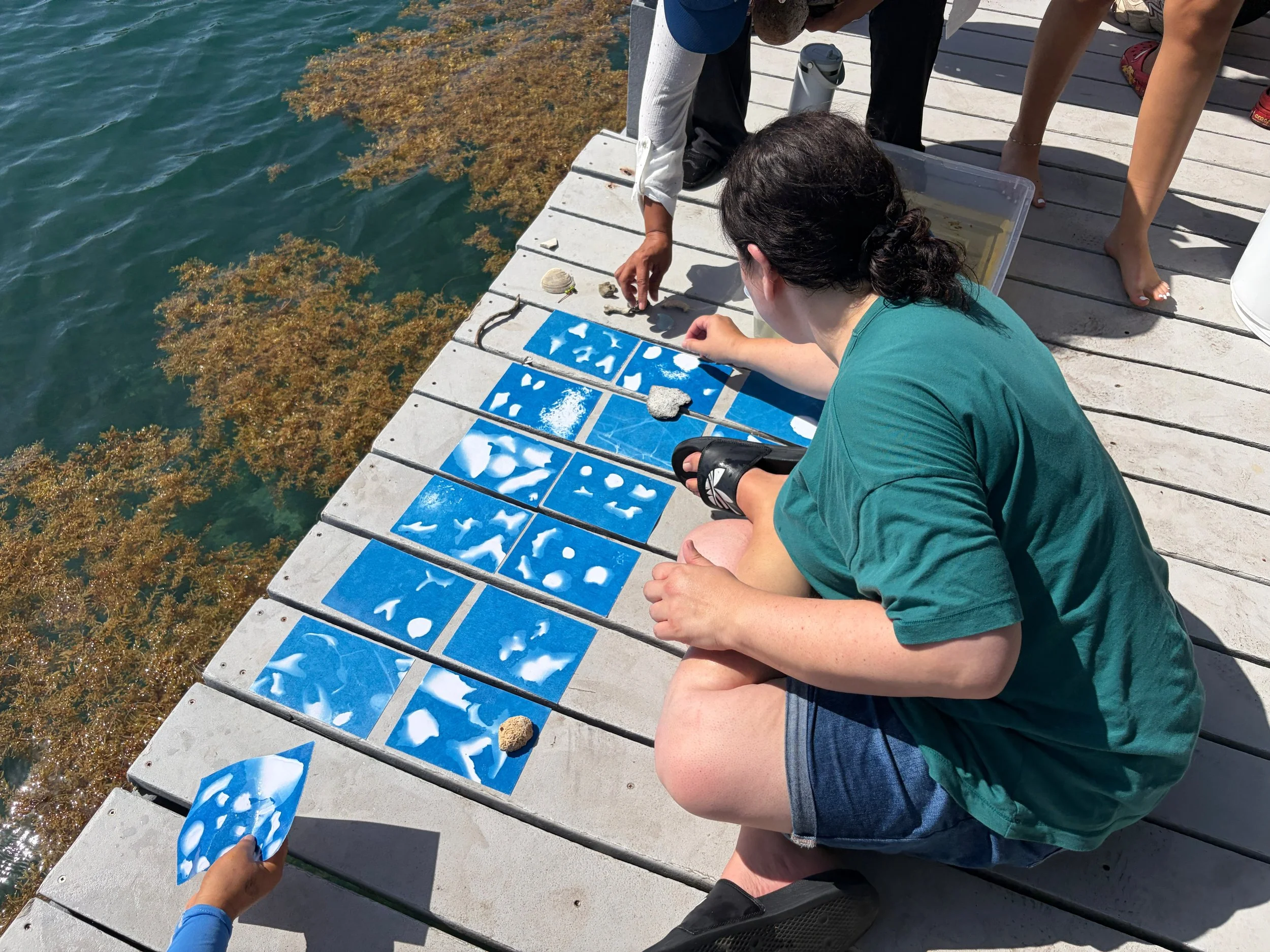  Drying the cyanotypes after their second rinse 