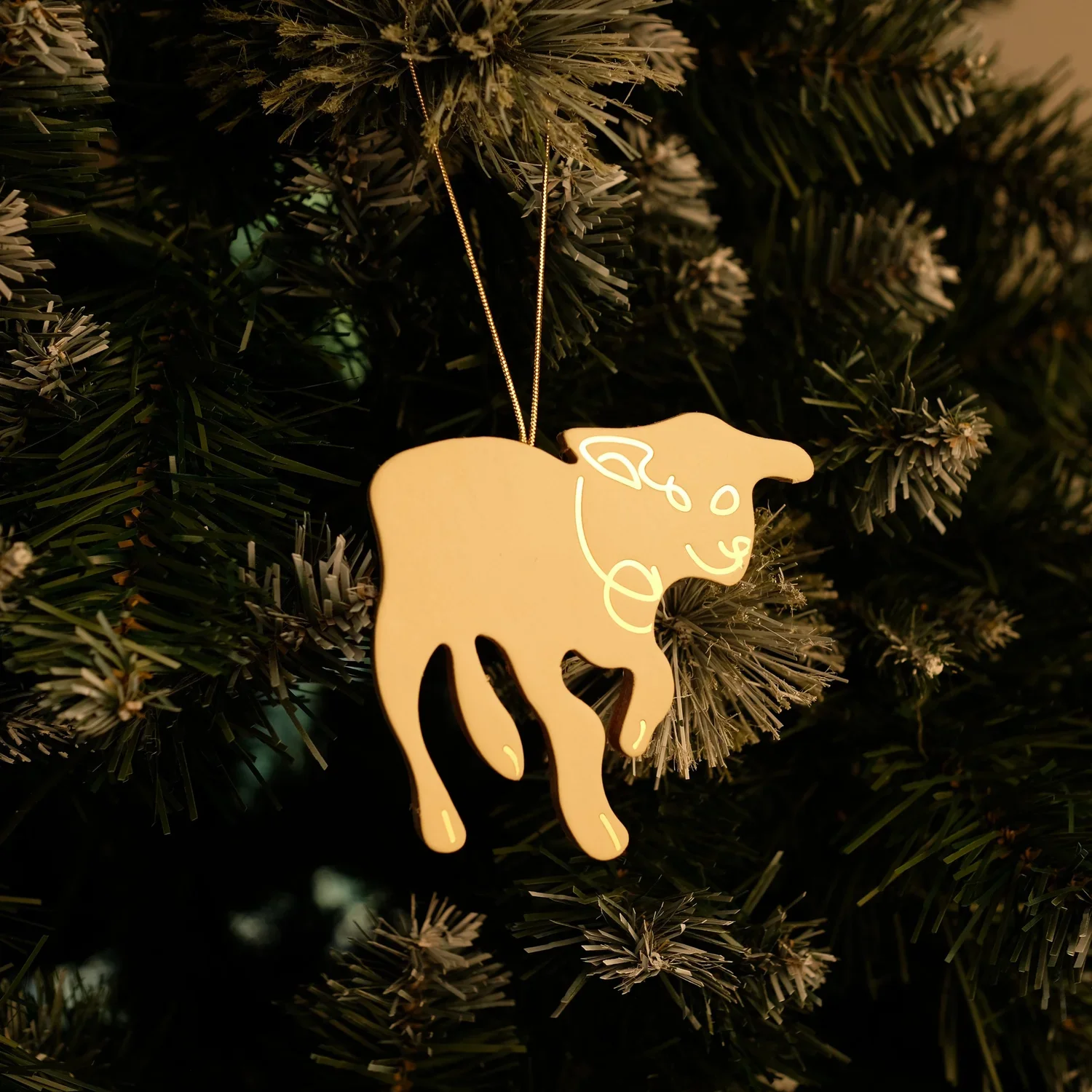 DSCF7407-2.webp