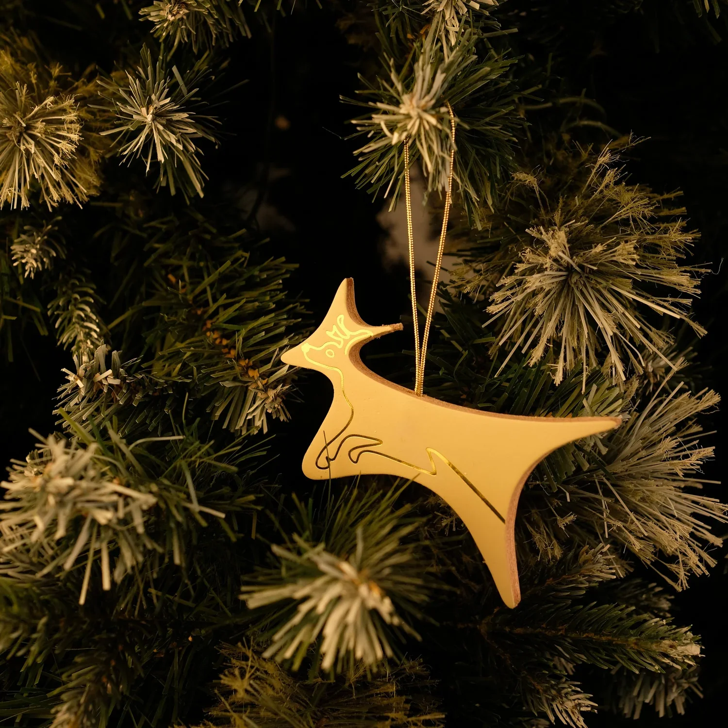 DSCF7421.webp