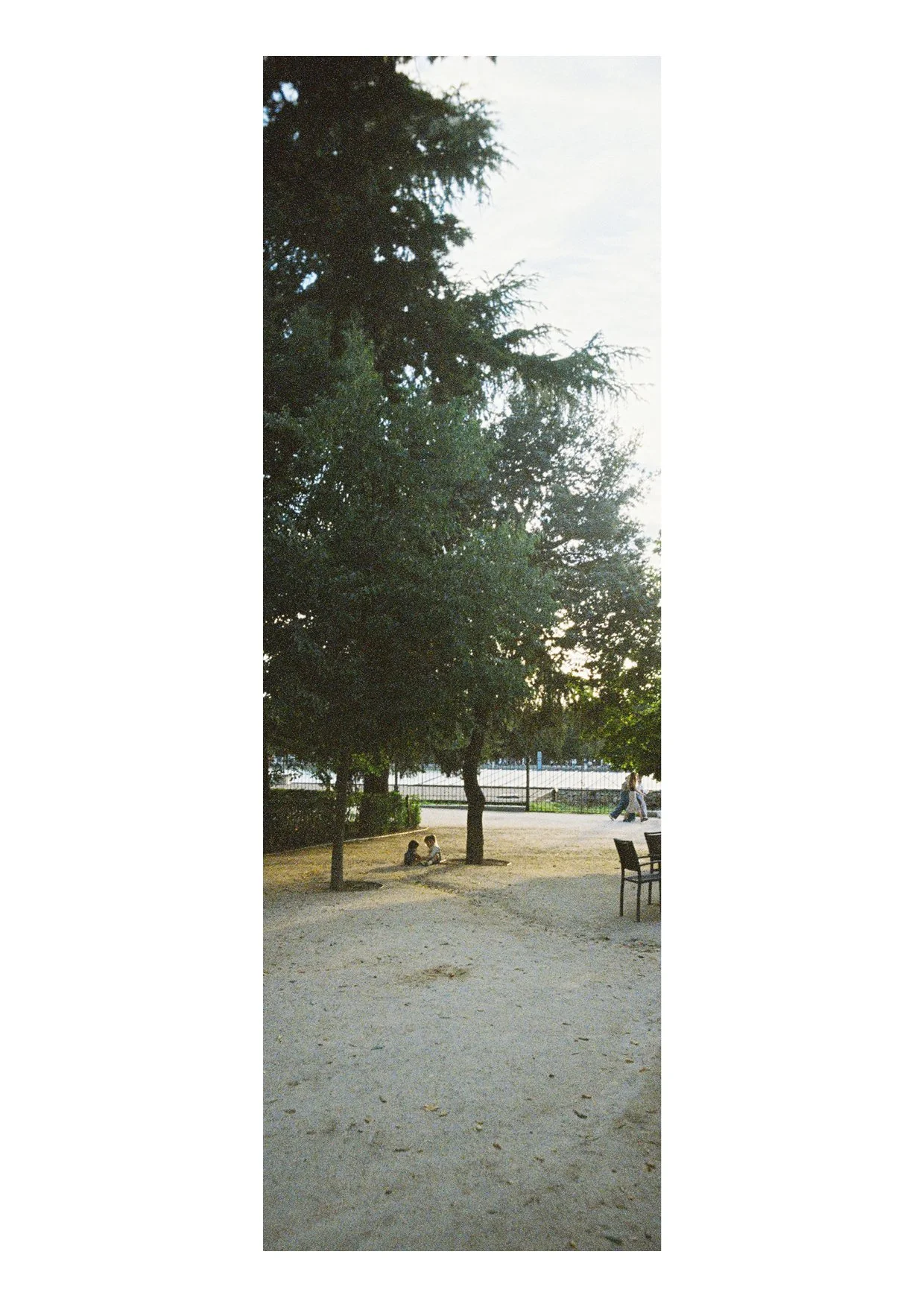 TEC-4-Photo & Multiples-Strollin'-20243.jpg