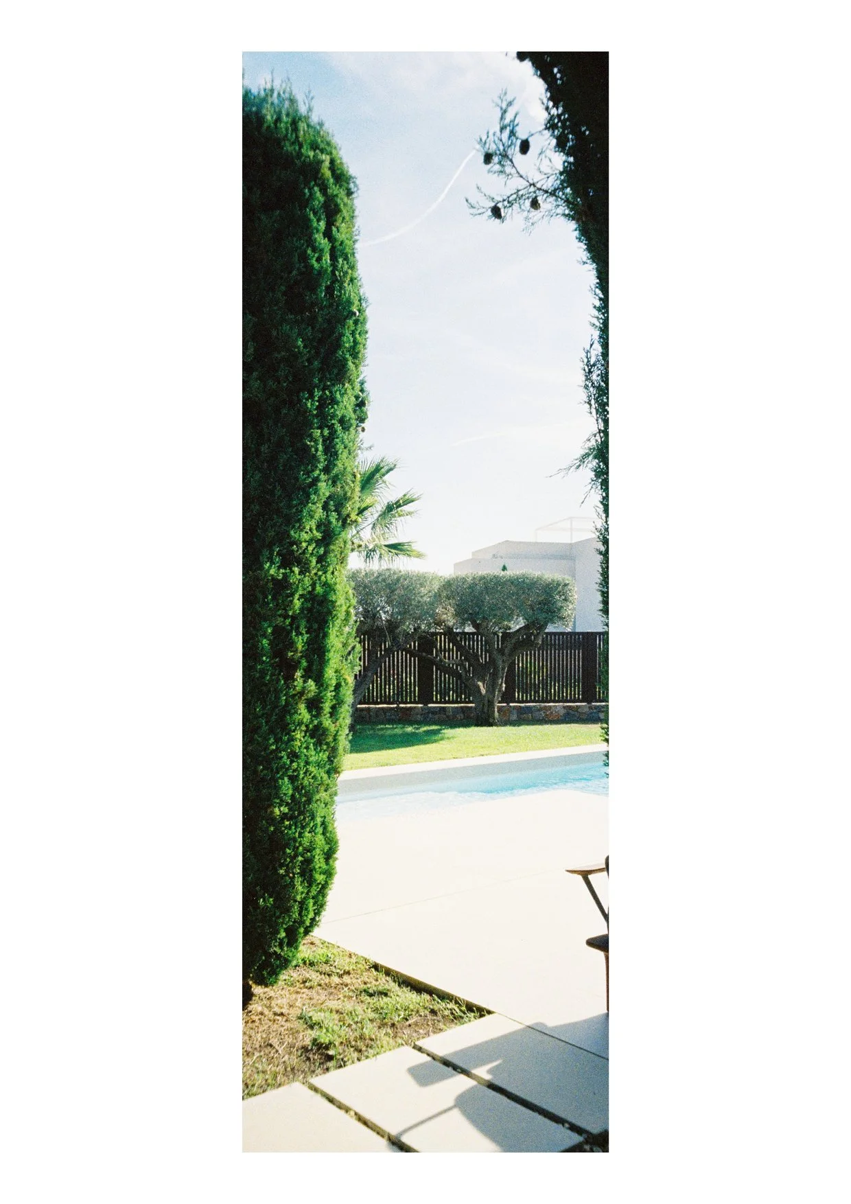 TEC-4-Photo & Multiples-Strollin'-202412.jpg