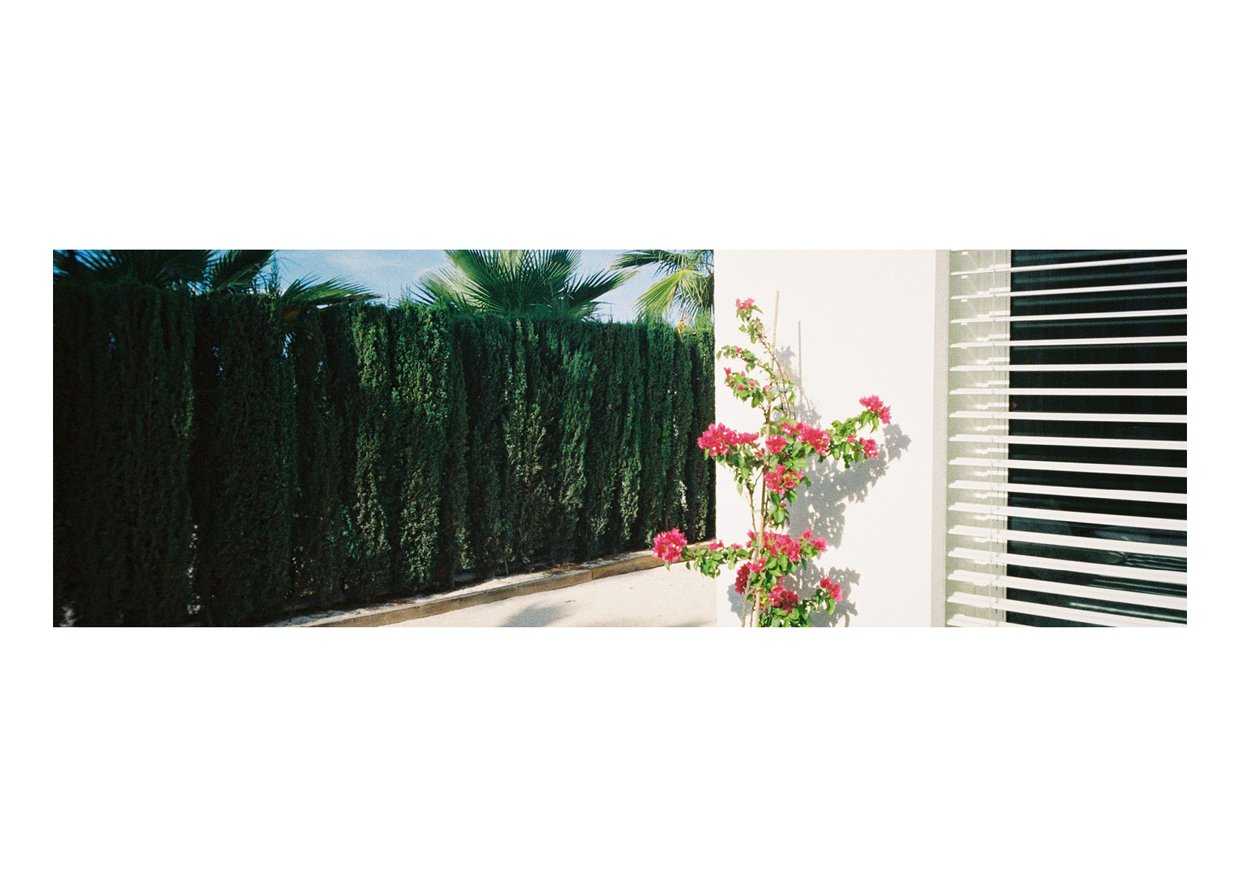 TEC-4-Photo & Multiples-Strollin'-202415.jpg