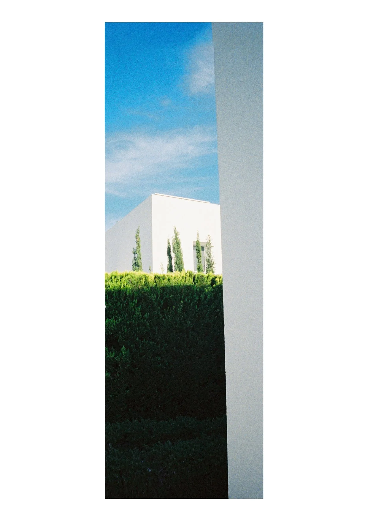 TEC-4-Photo & Multiples-Strollin'-202416.jpg