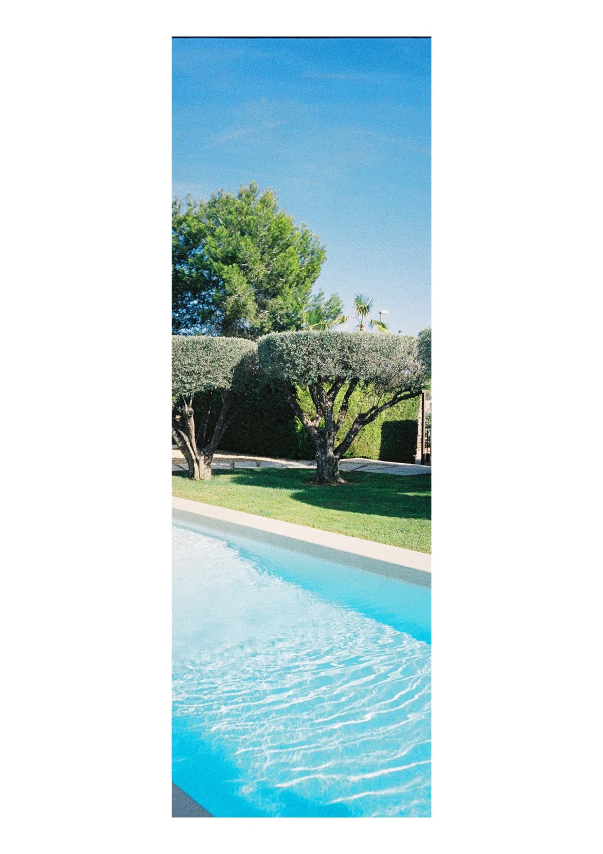 TEC-4-Photo & Multiples-Strollin'-202417.jpg