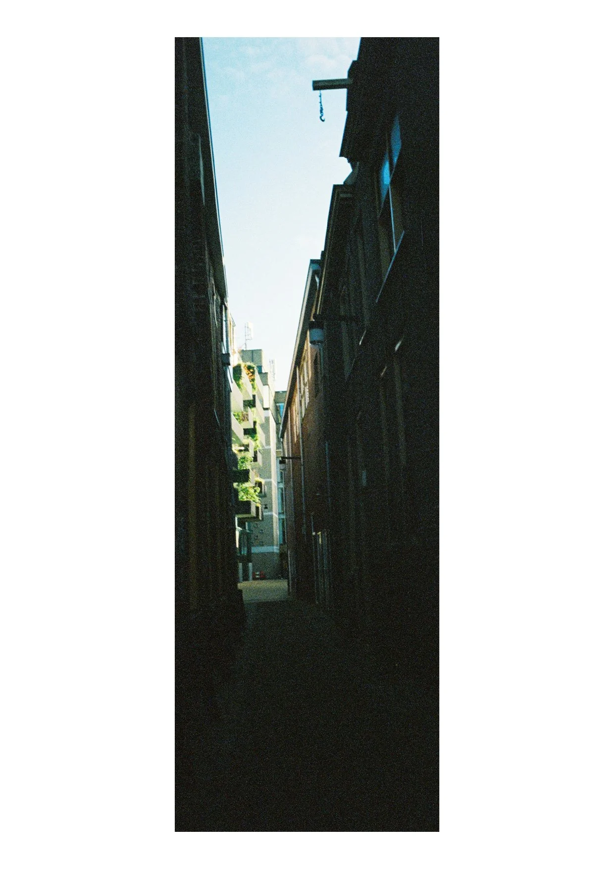 TEC-4-Photo & Multiples-Strollin'-202419.jpg