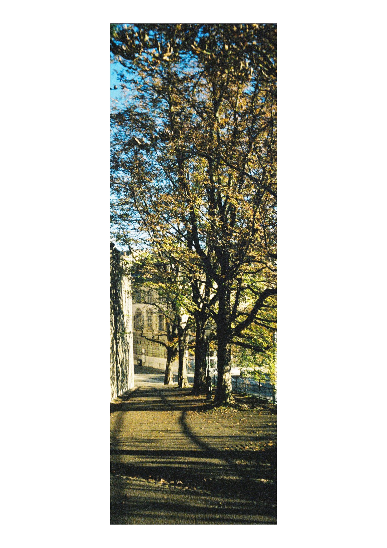 TEC-4-Photo & Multiples-Strollin'-202422.jpg