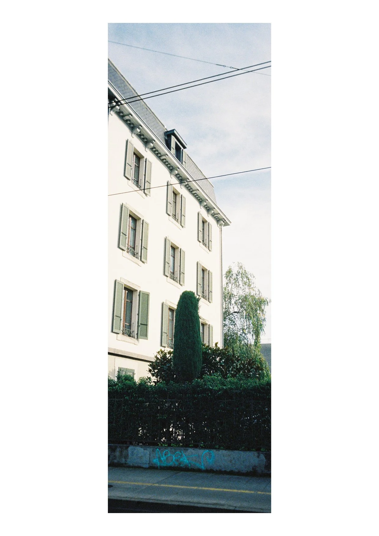 TEC-4-Photo & Multiples-Strollin'-202428.jpg