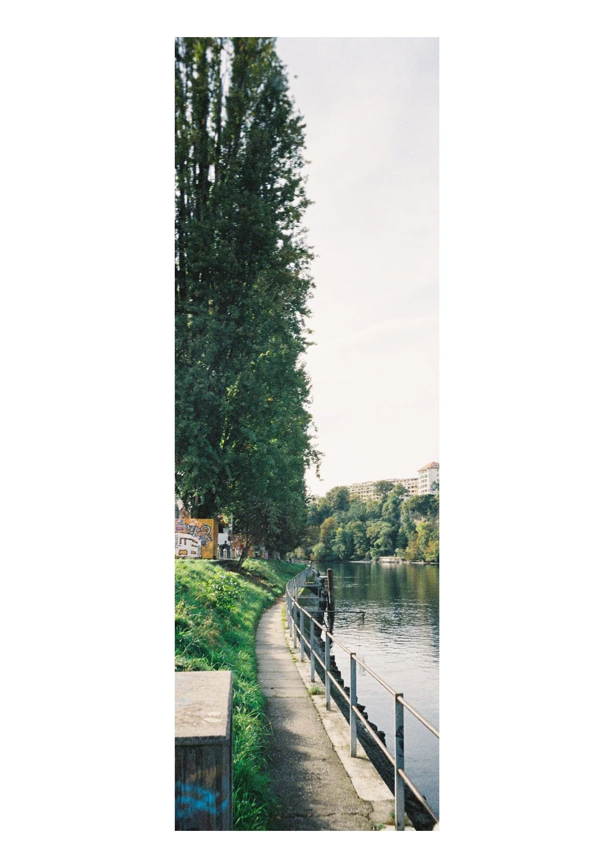TEC-4-Photo & Multiples-Strollin'-202435.jpg