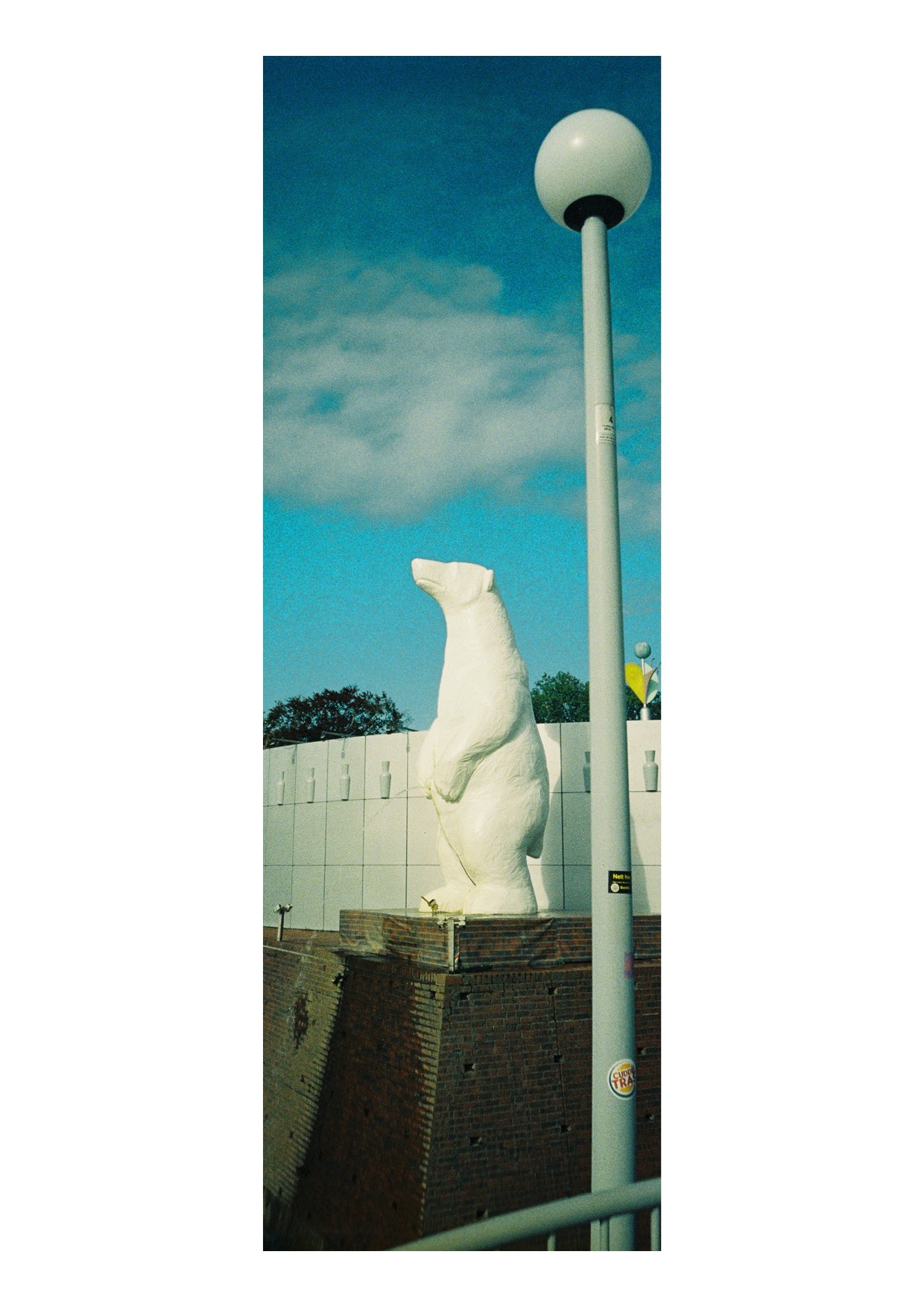 TEC-4-Photo & Multiples-Strollin'-202445.jpg