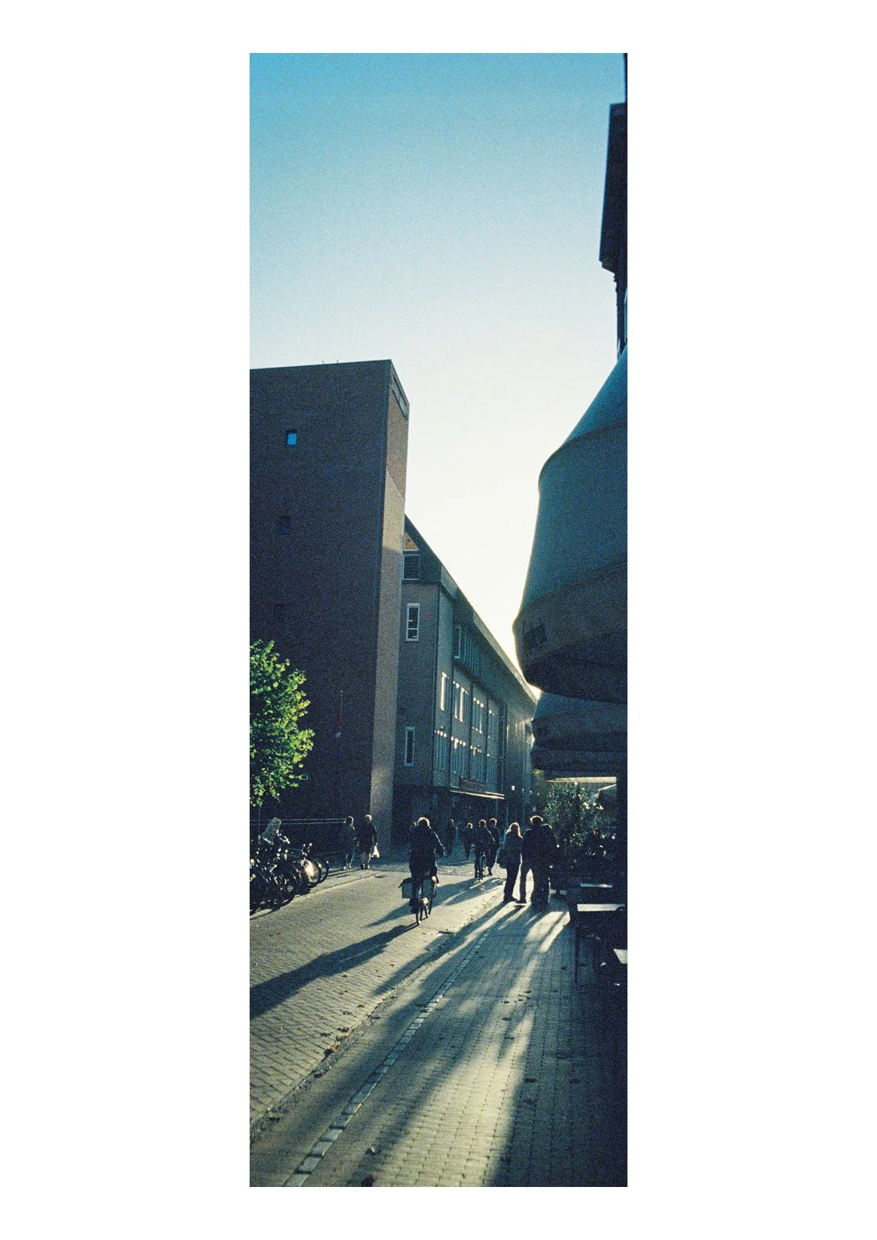 TEC-4-Photo & Multiples-Strollin'-202448.jpg