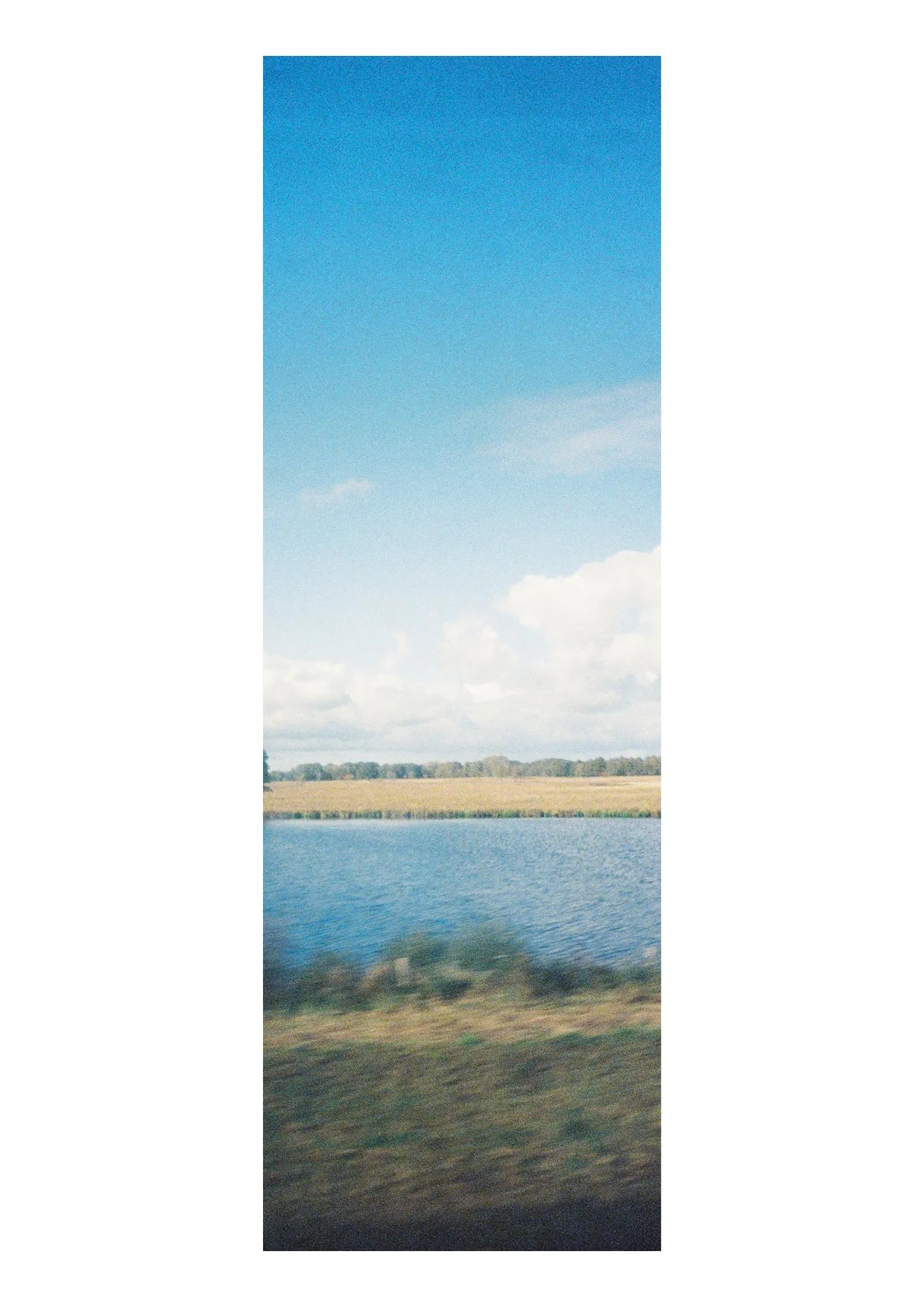 TEC-4-Photo & Multiples-Strollin'-202449.jpg