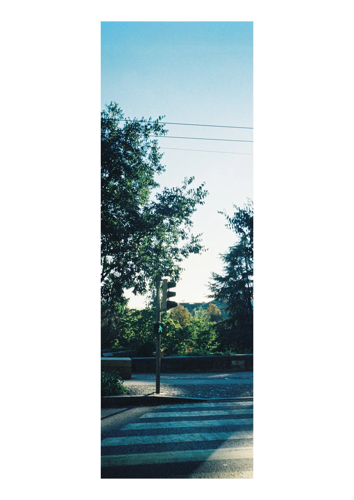 TEC-4-Photo & Multiples-Strollin'-202431.jpg