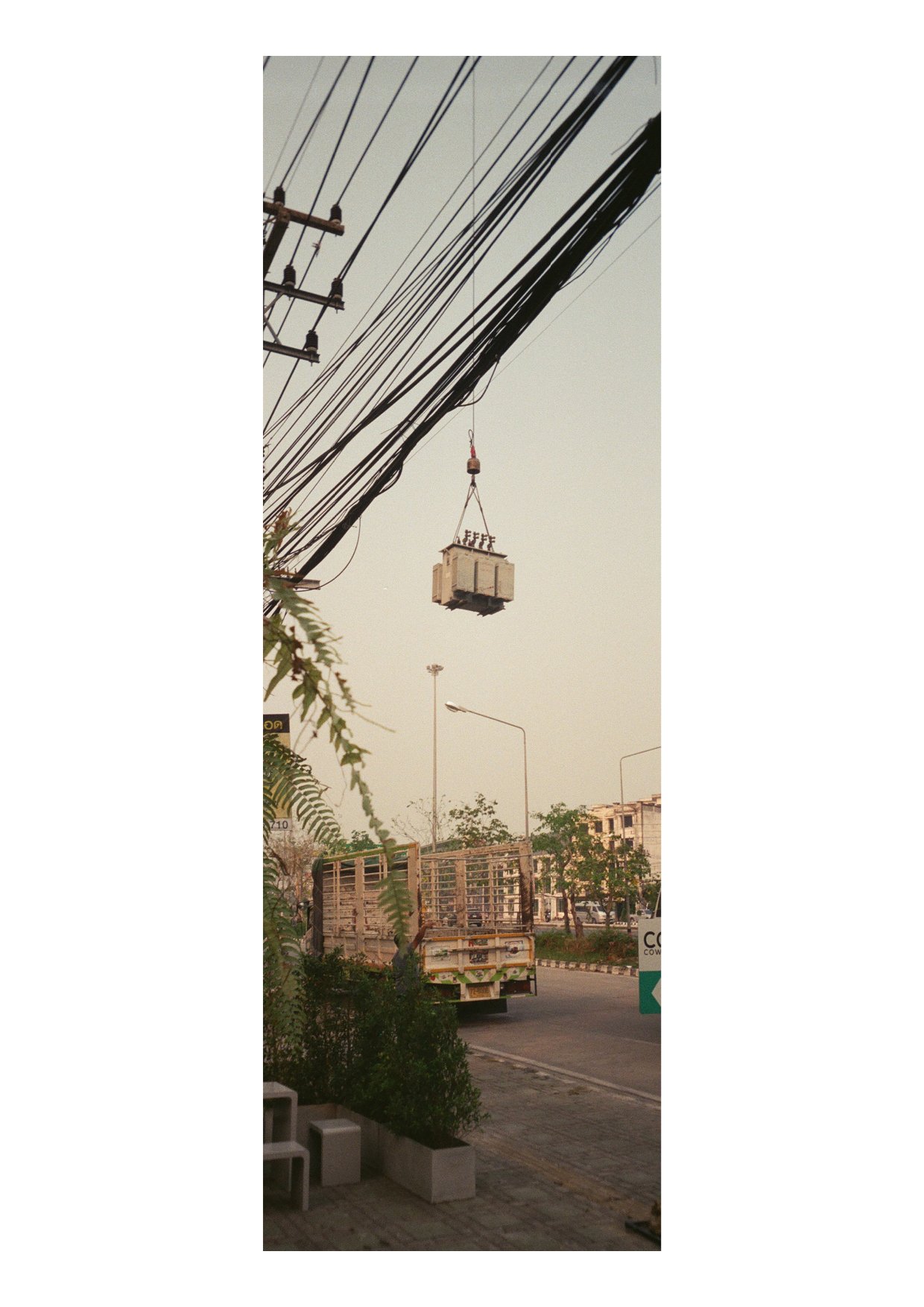 TEC-4-Photo & Multiples-Strollin'-2023.jpg