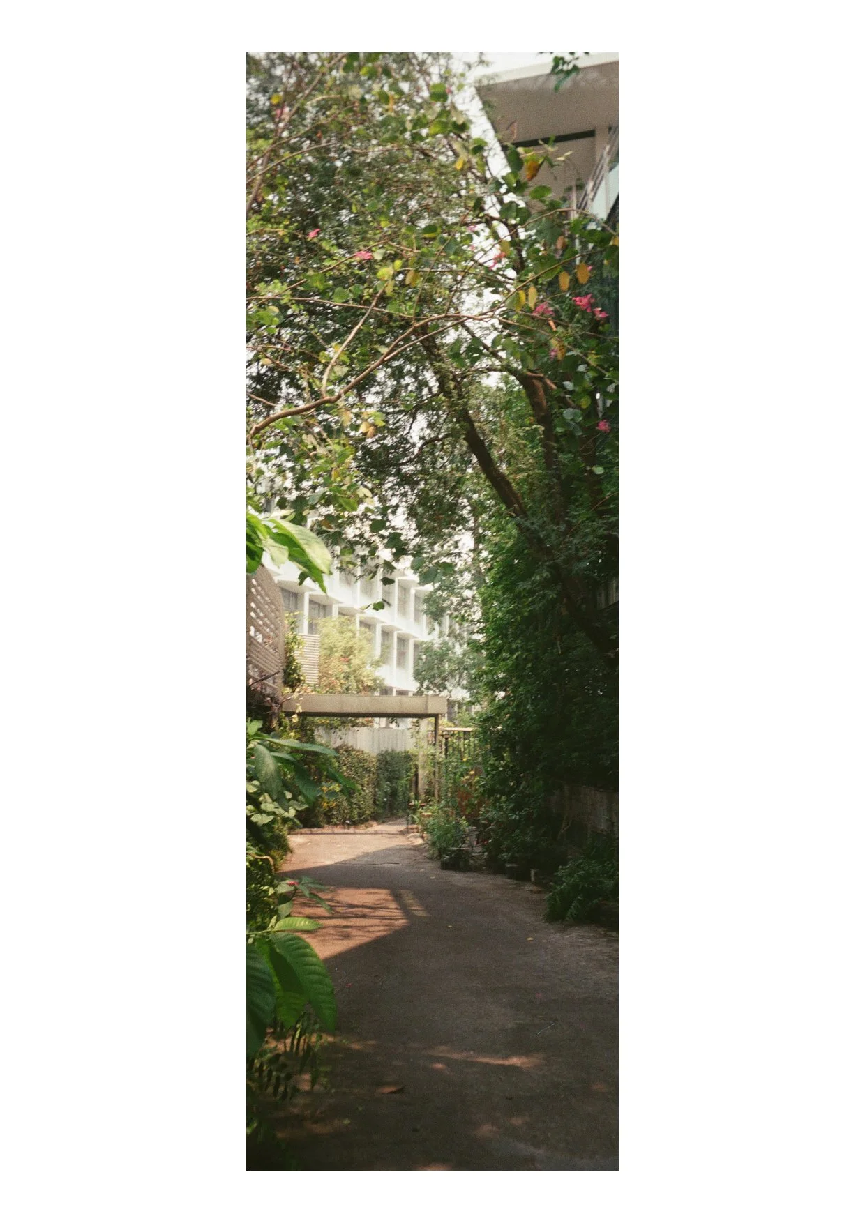 TEC-4-Photo & Multiples-Strollin'-20234.jpg