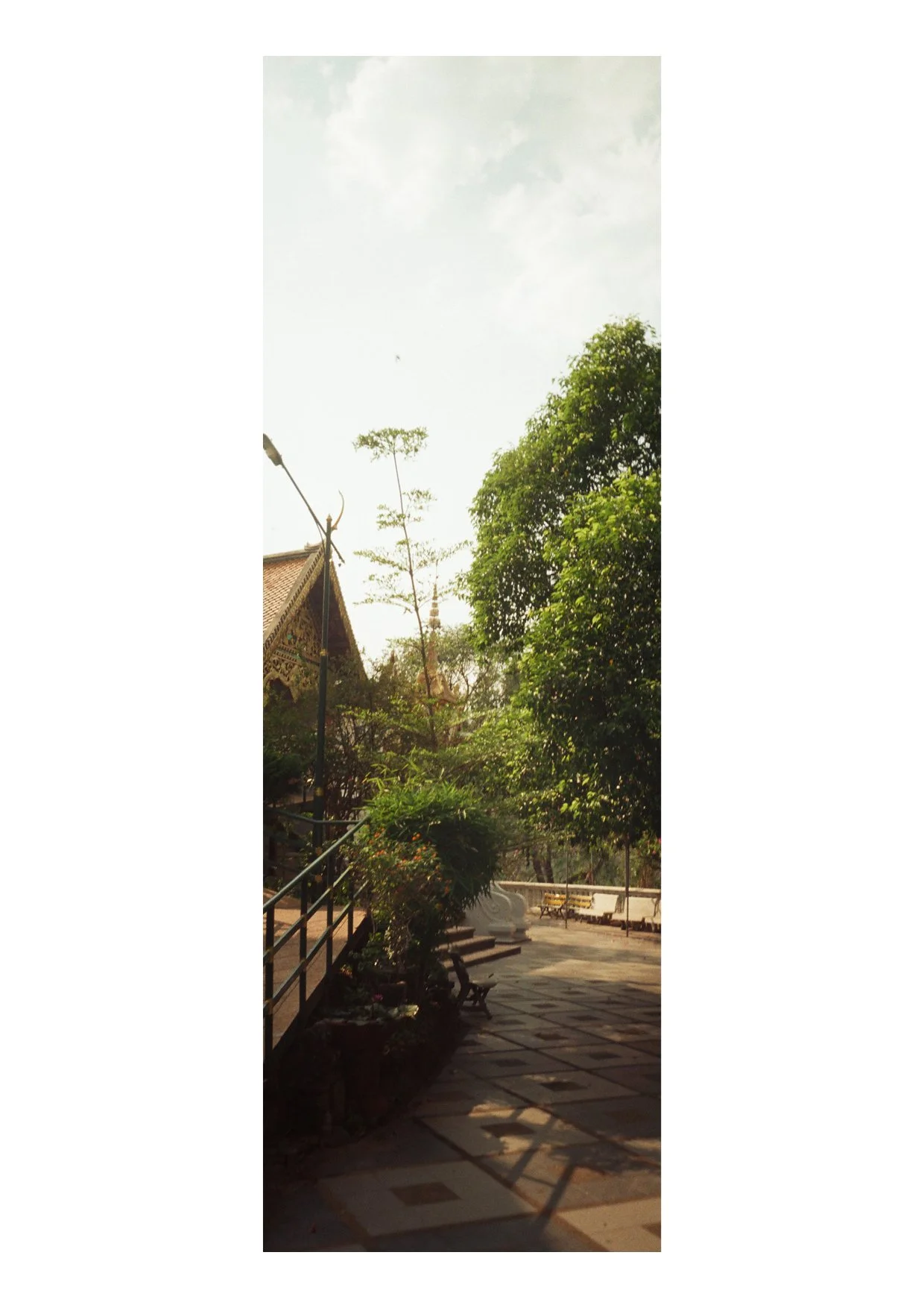 TEC-4-Photo & Multiples-Strollin'-202310.jpg