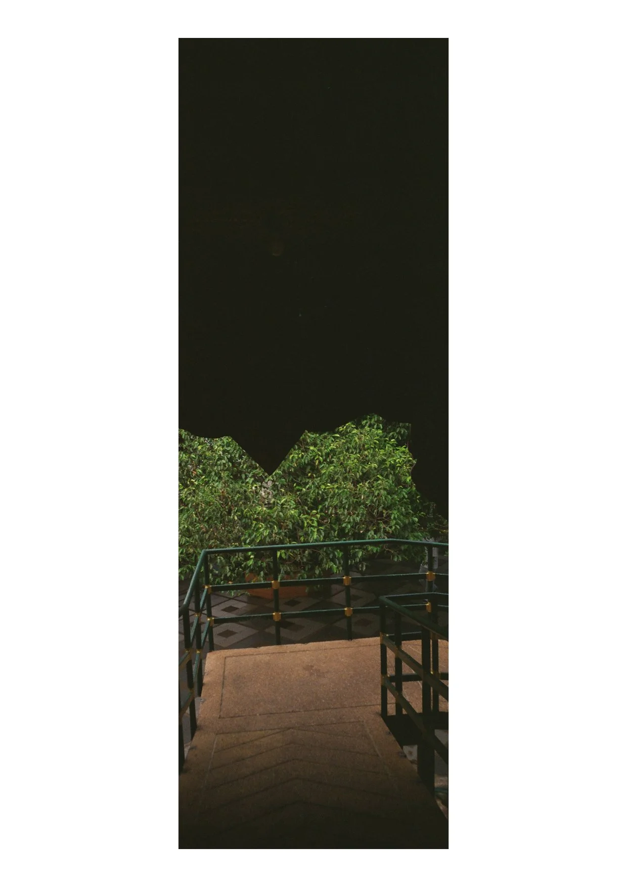 TEC-4-Photo & Multiples-Strollin'-202312.jpg